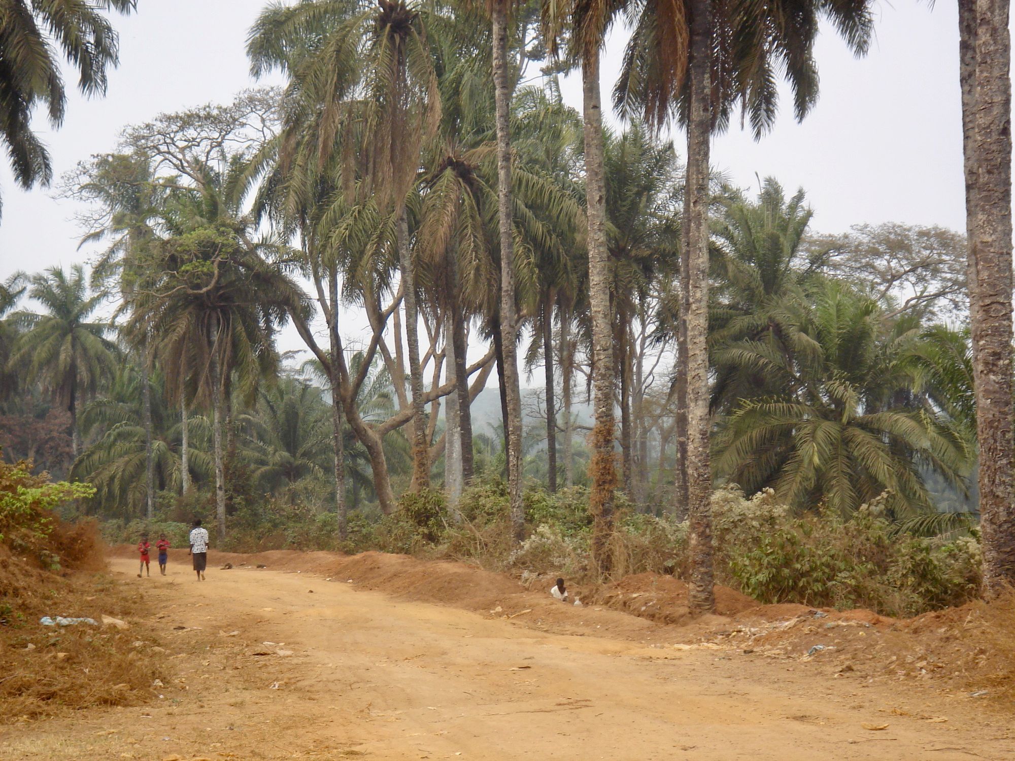 N’Dalatondo, jardin botanique
