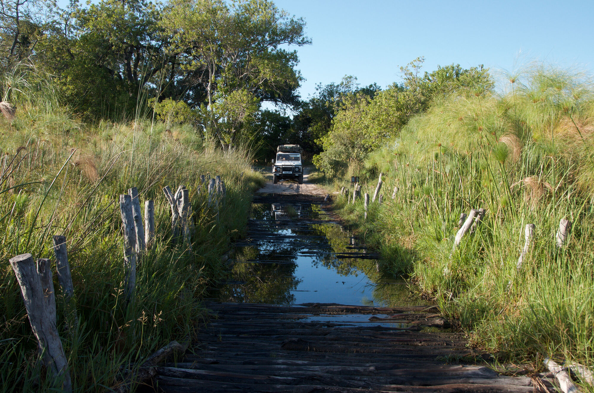 Ponts de bois