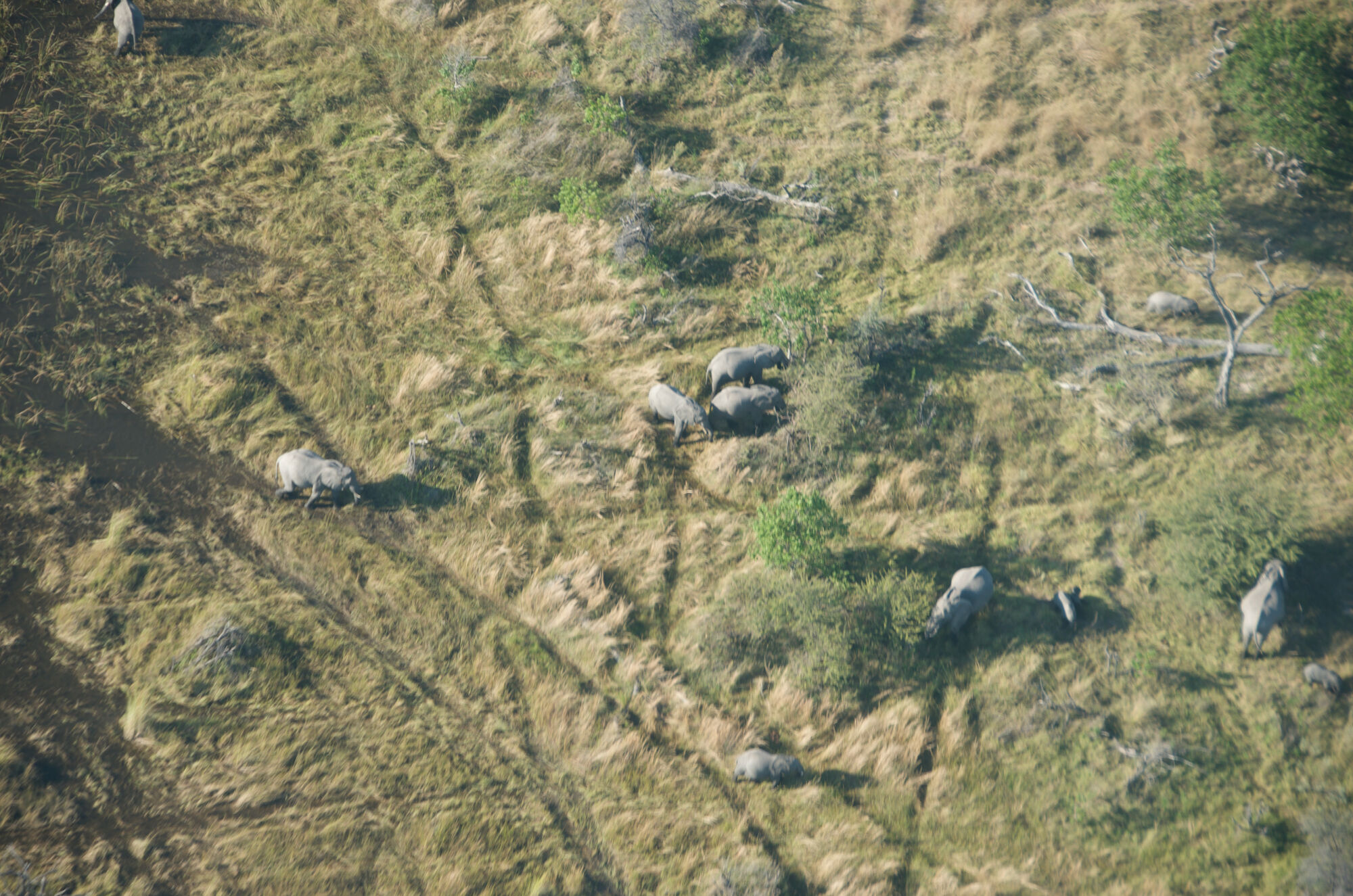 Botswana vu du ciel