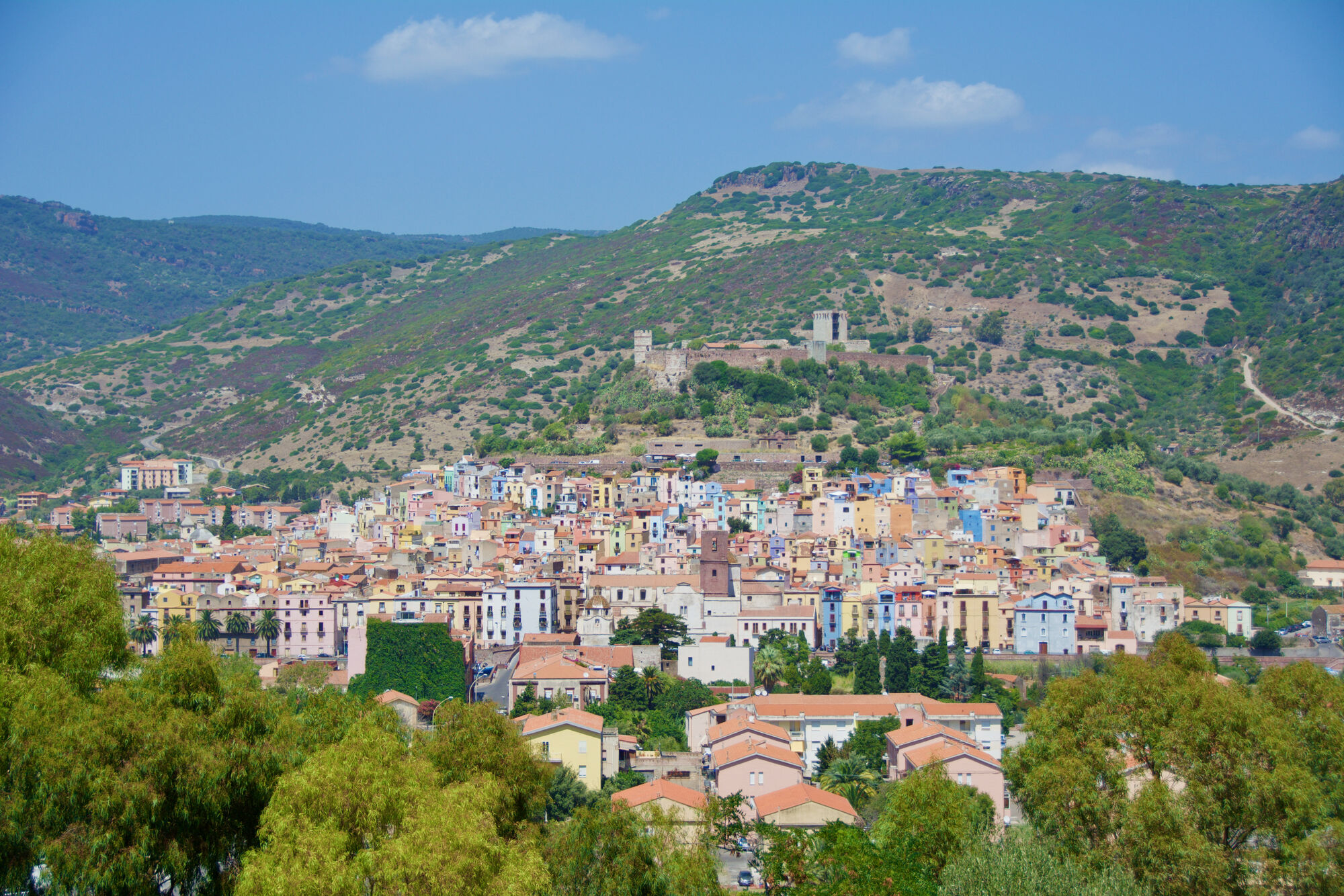 Bosa