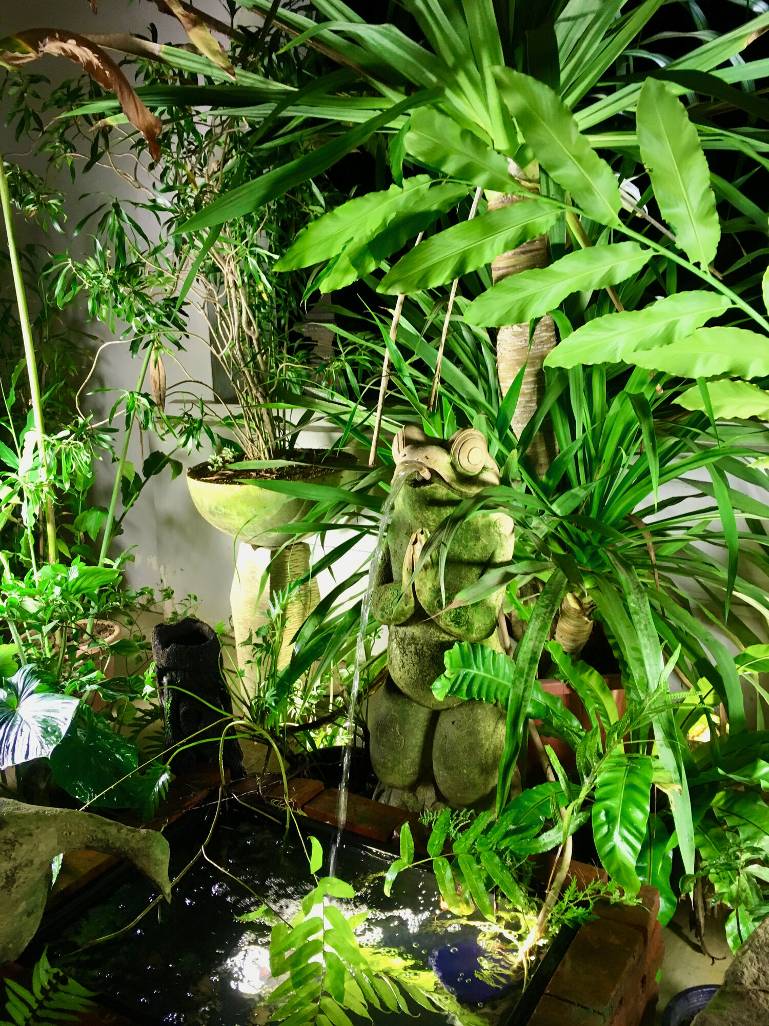 Singapour