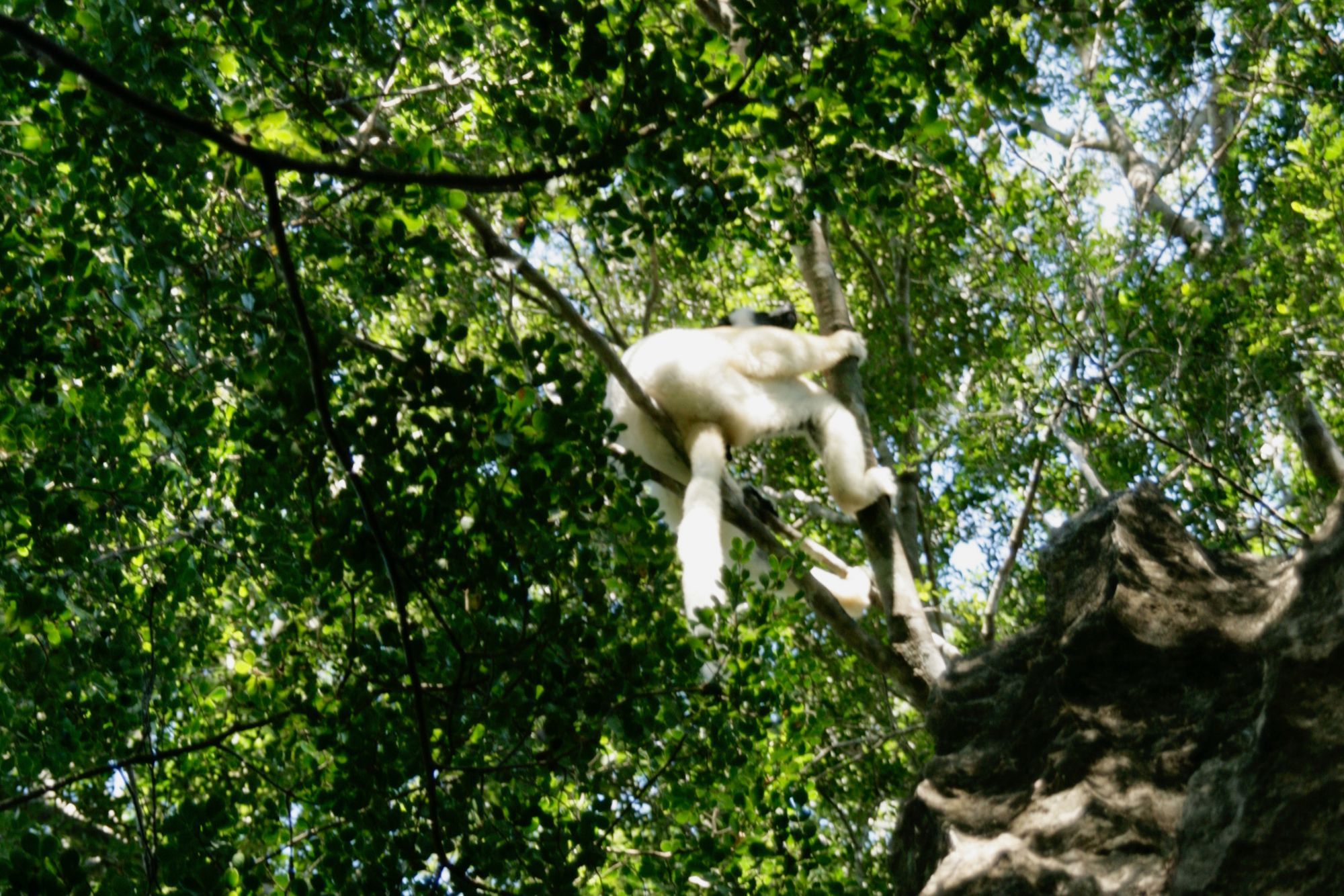 Les habitants de Bamaraha