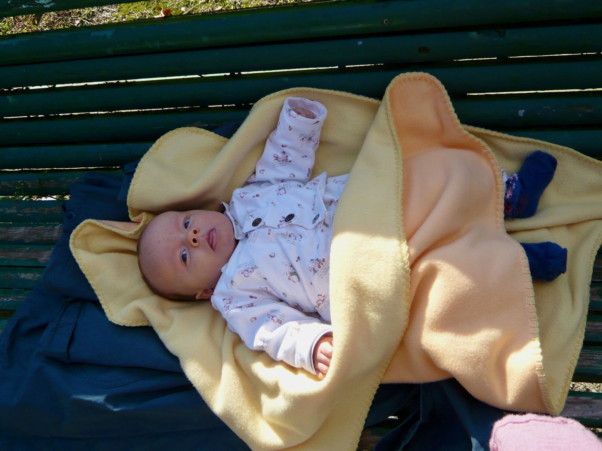 Un banc au soleil