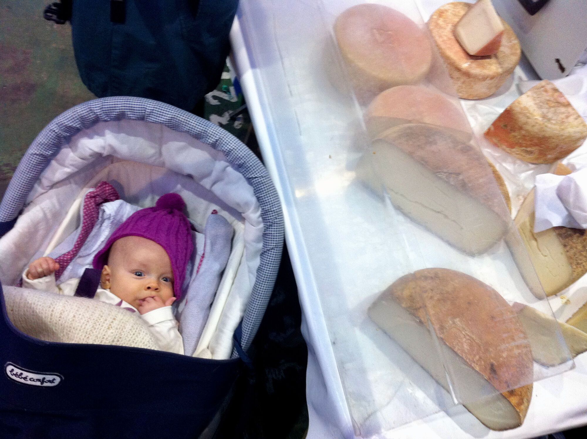 On goute ces petits fromages ?