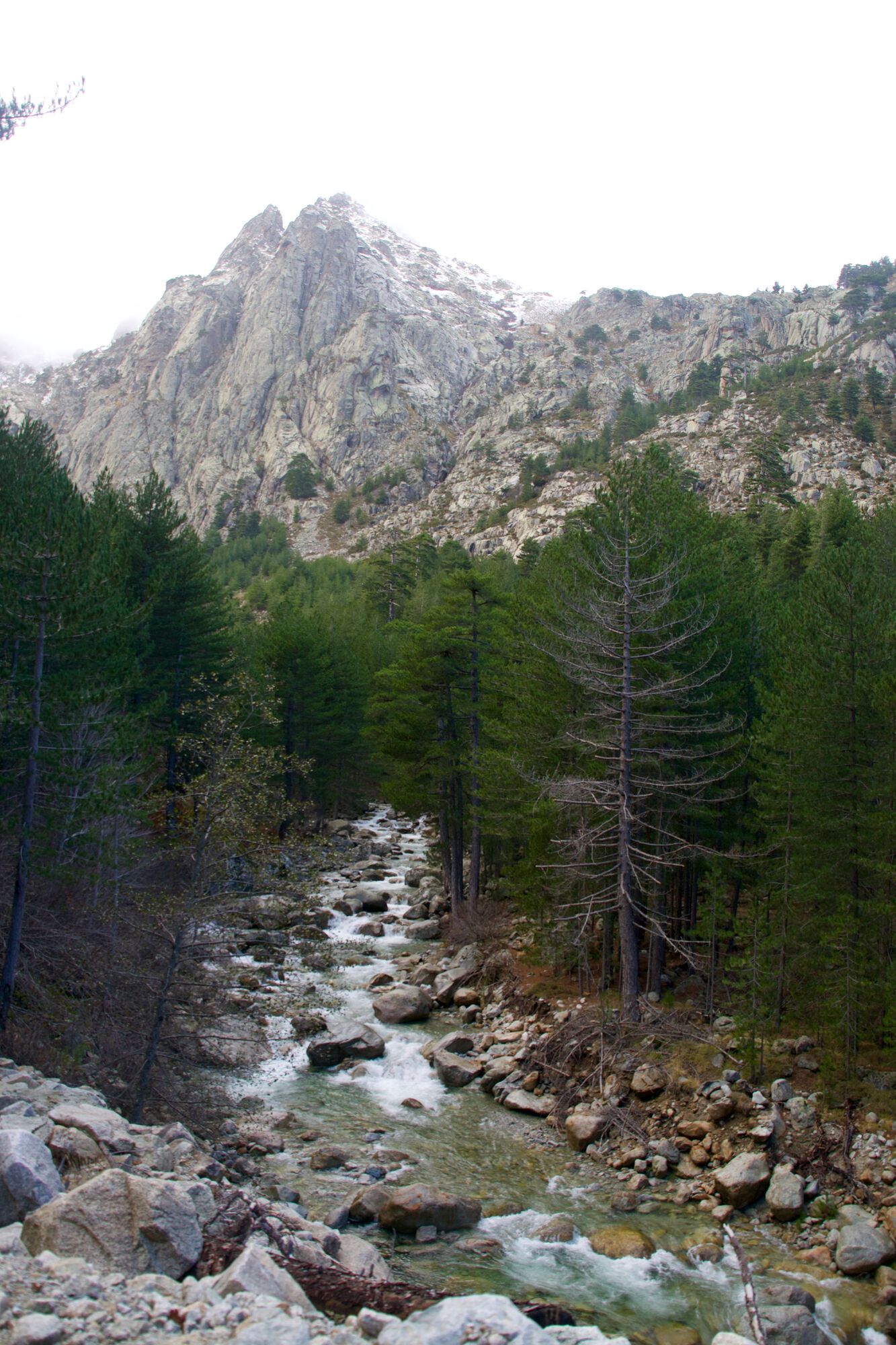 Restonica