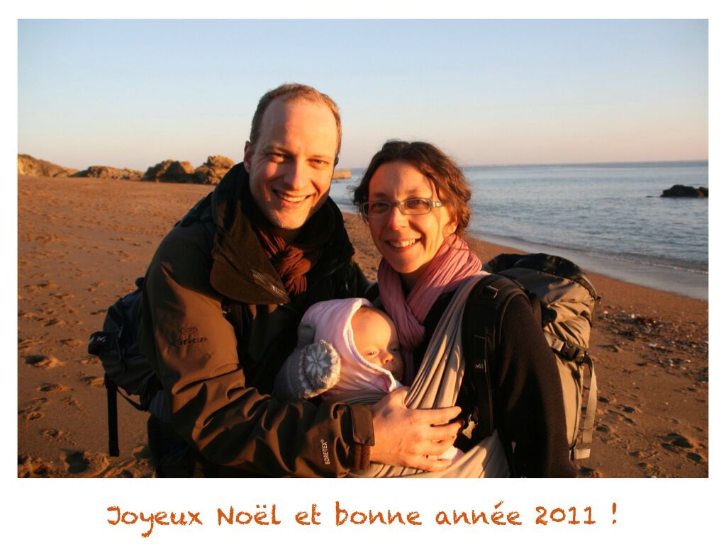Joyeux Noël et Bonne Année 2011 !
