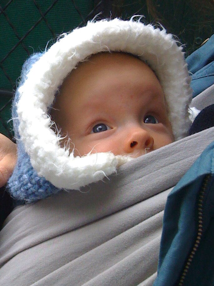 Petit eskimo