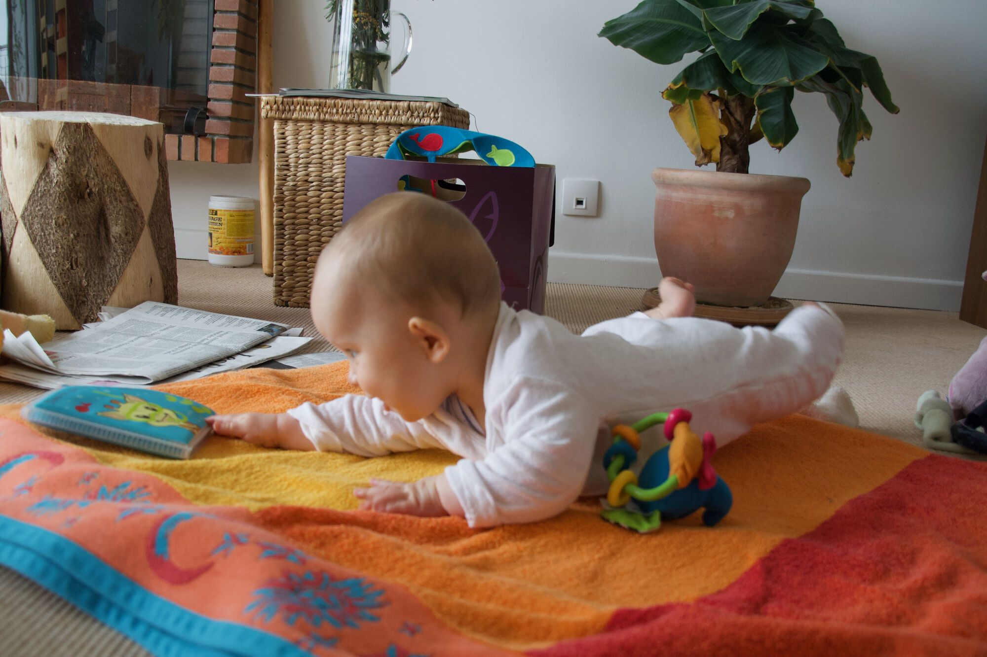 Safari sur le tapis