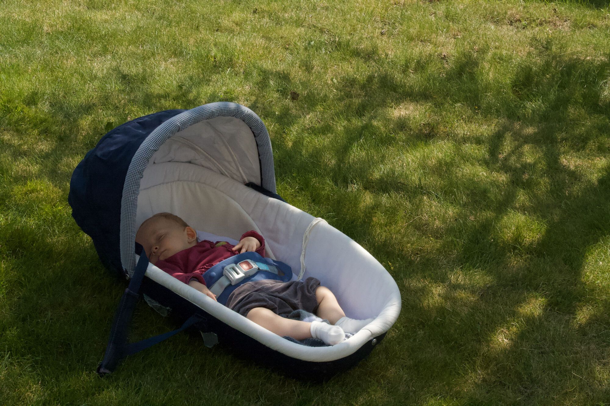 Sieste à l'ombre