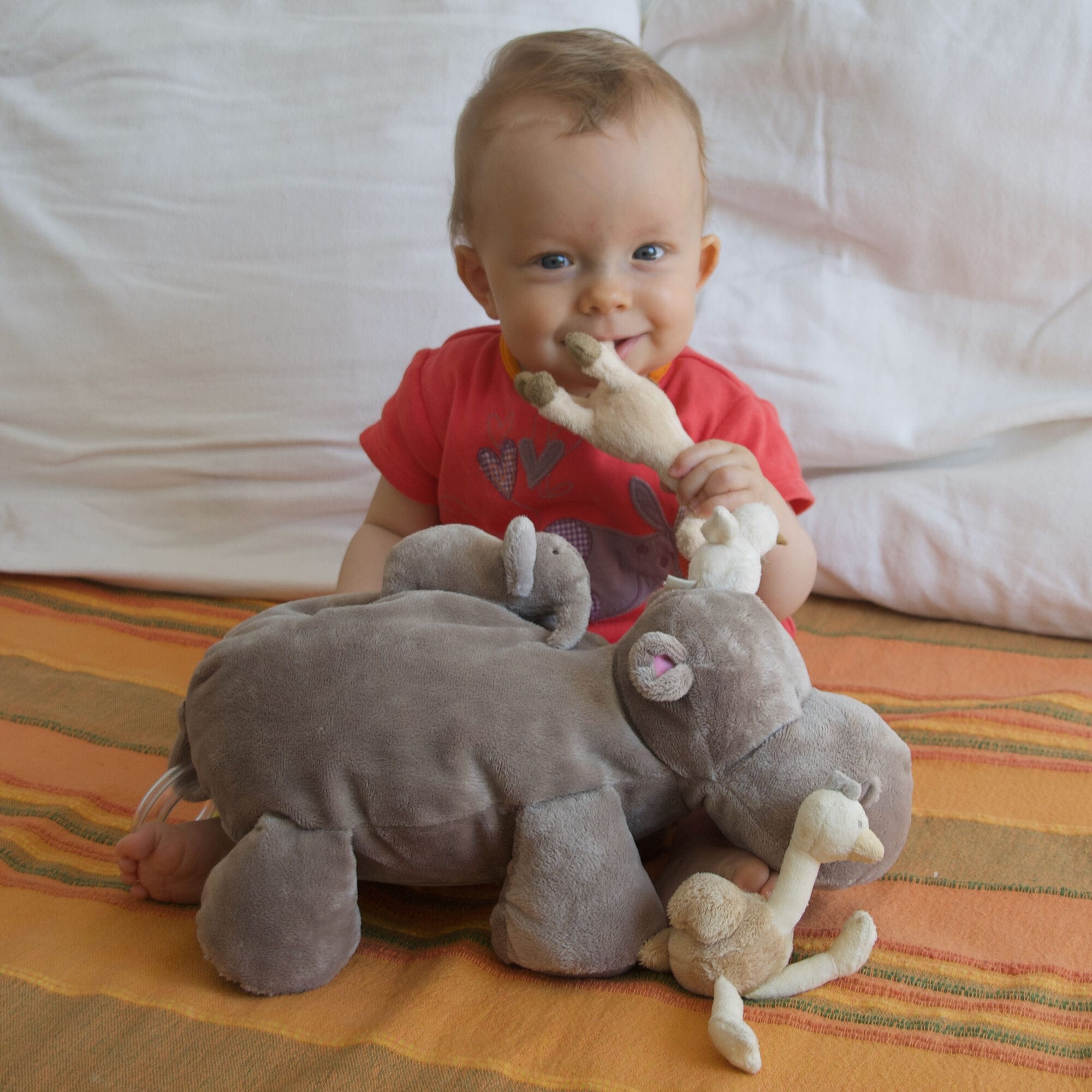Zanimos en peluche !