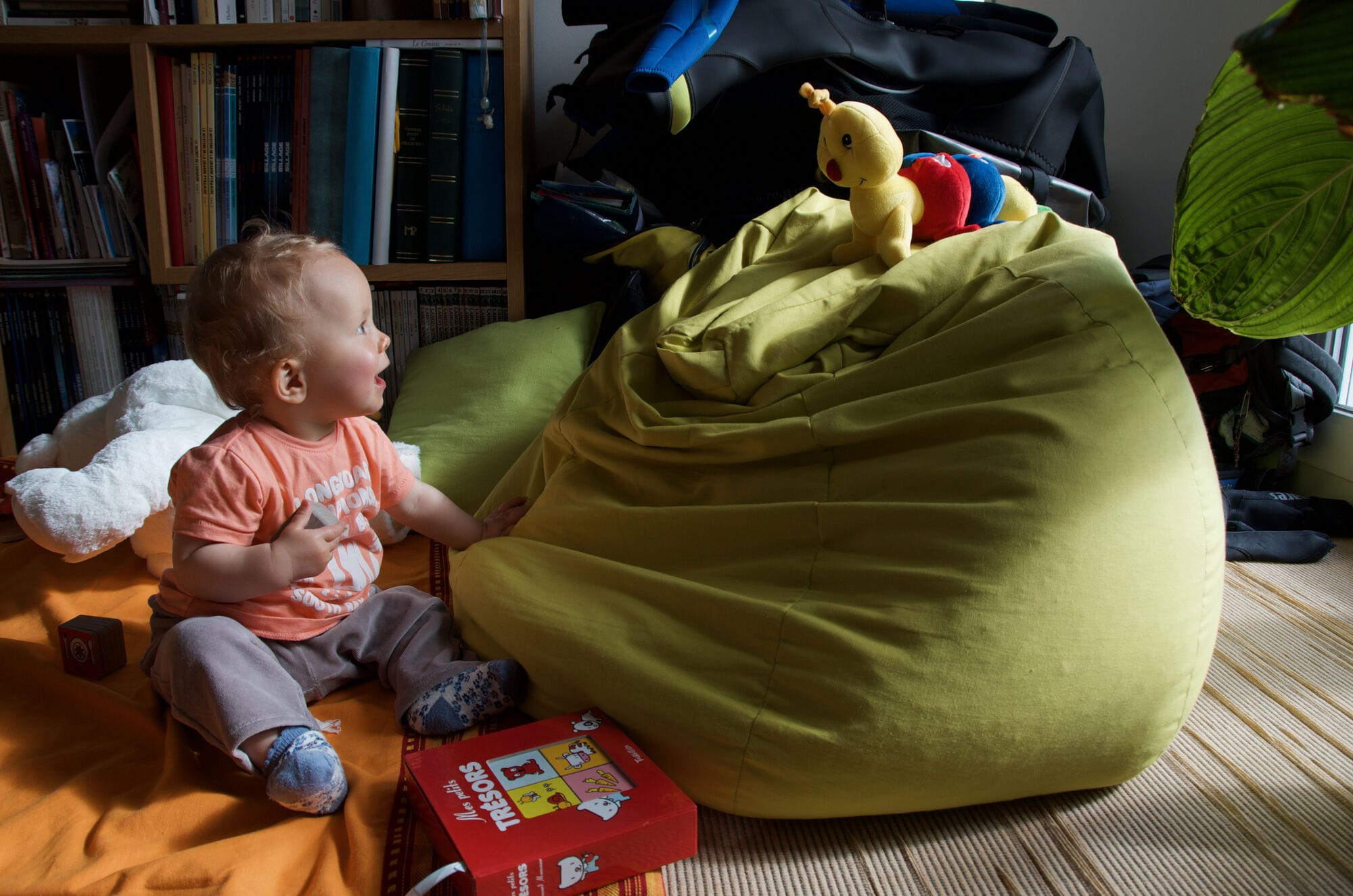 Une chenille au sommet