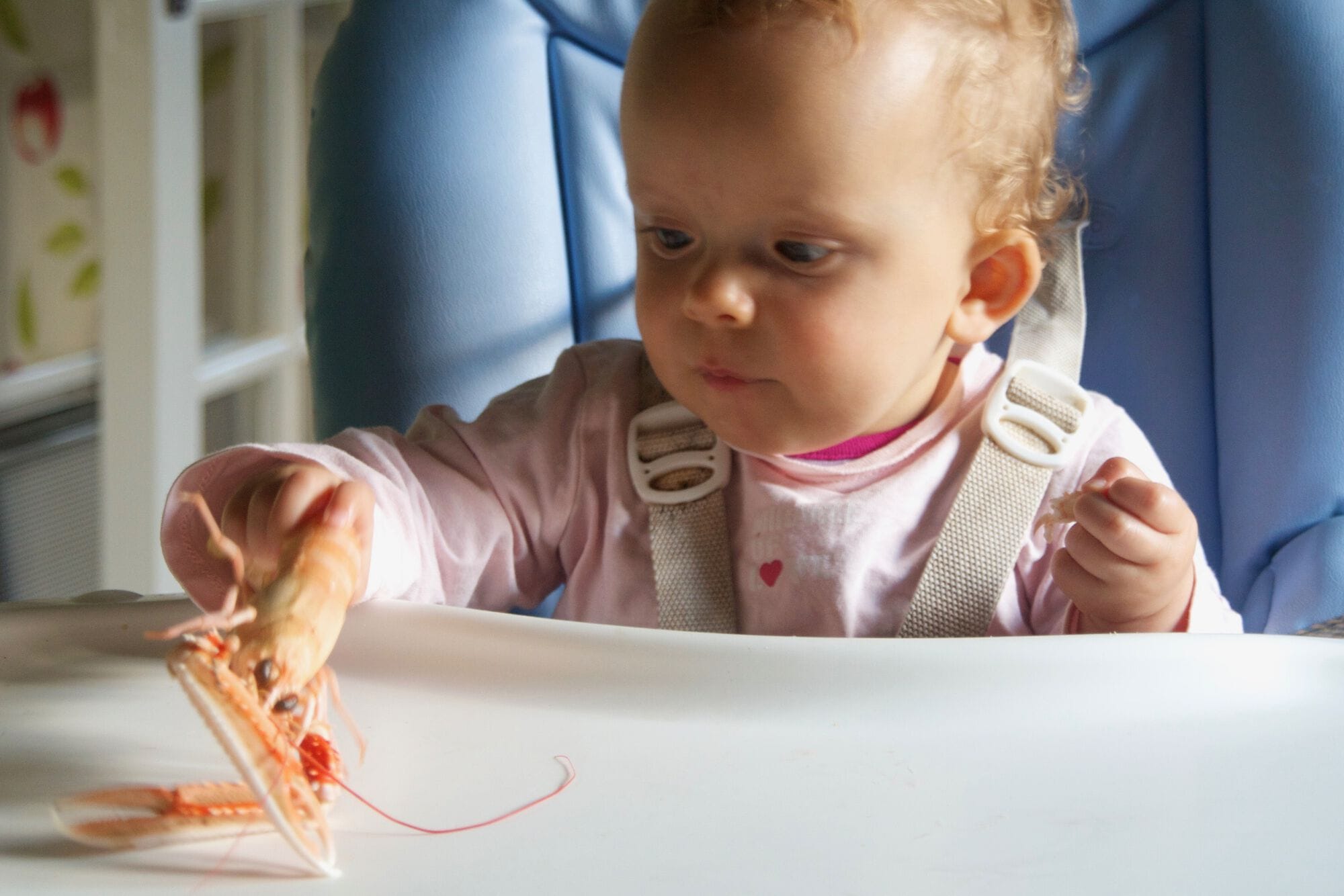 Langoustine