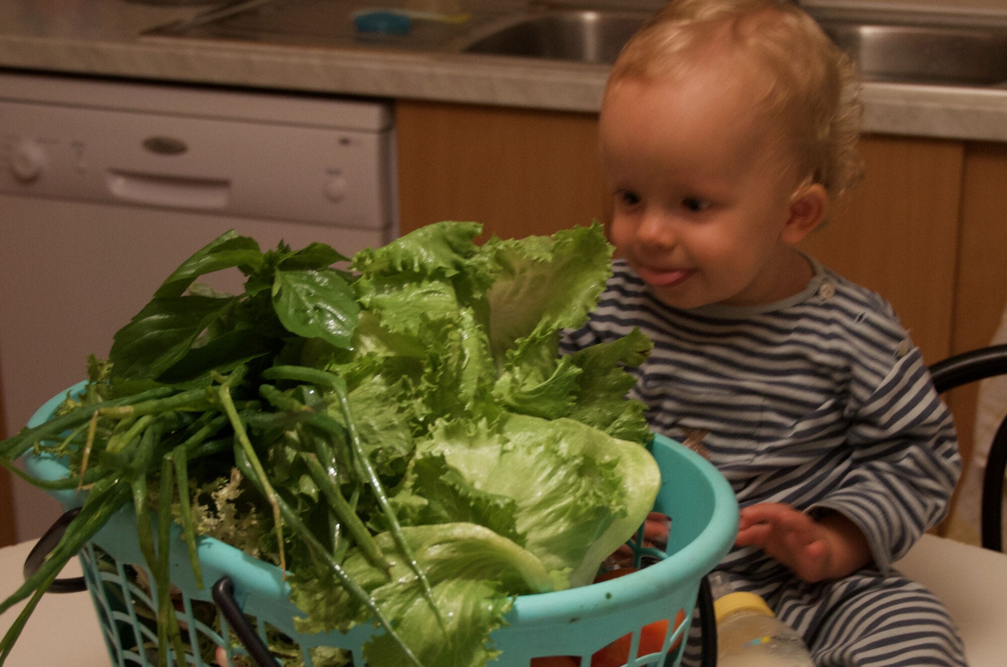 Miam, des légumes !