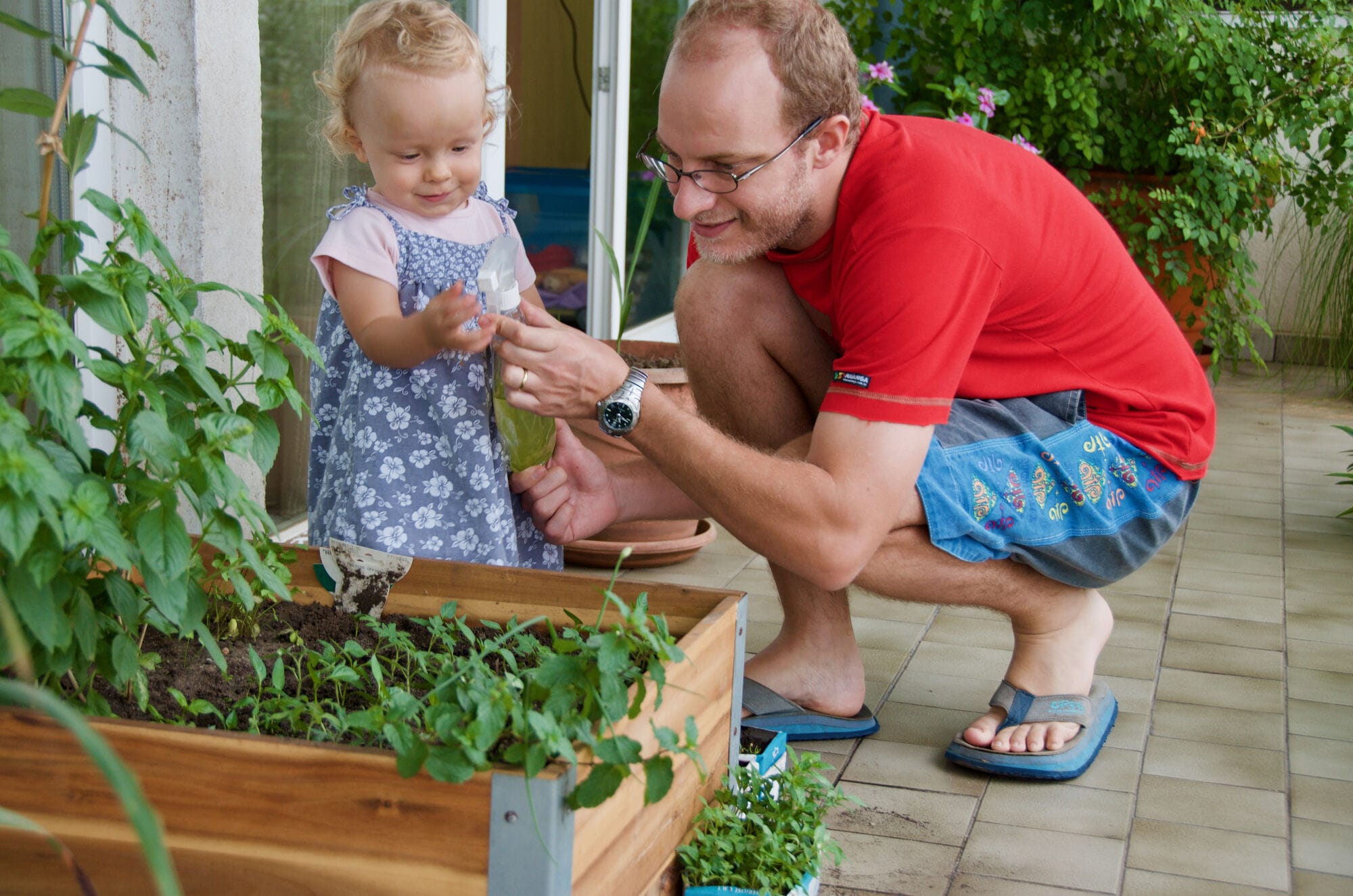 Cours de jardinage