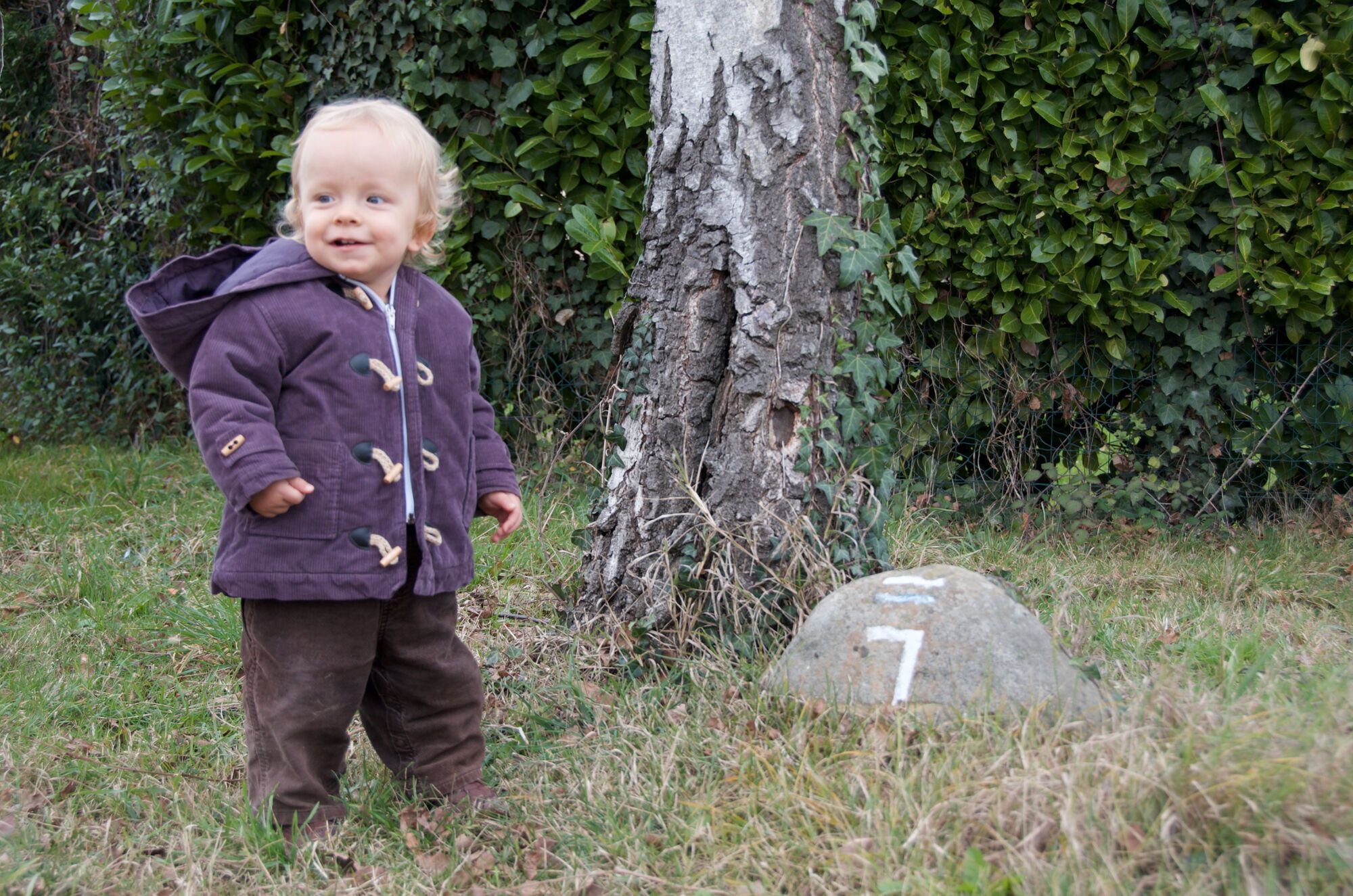 Sur le chemin d'Henri