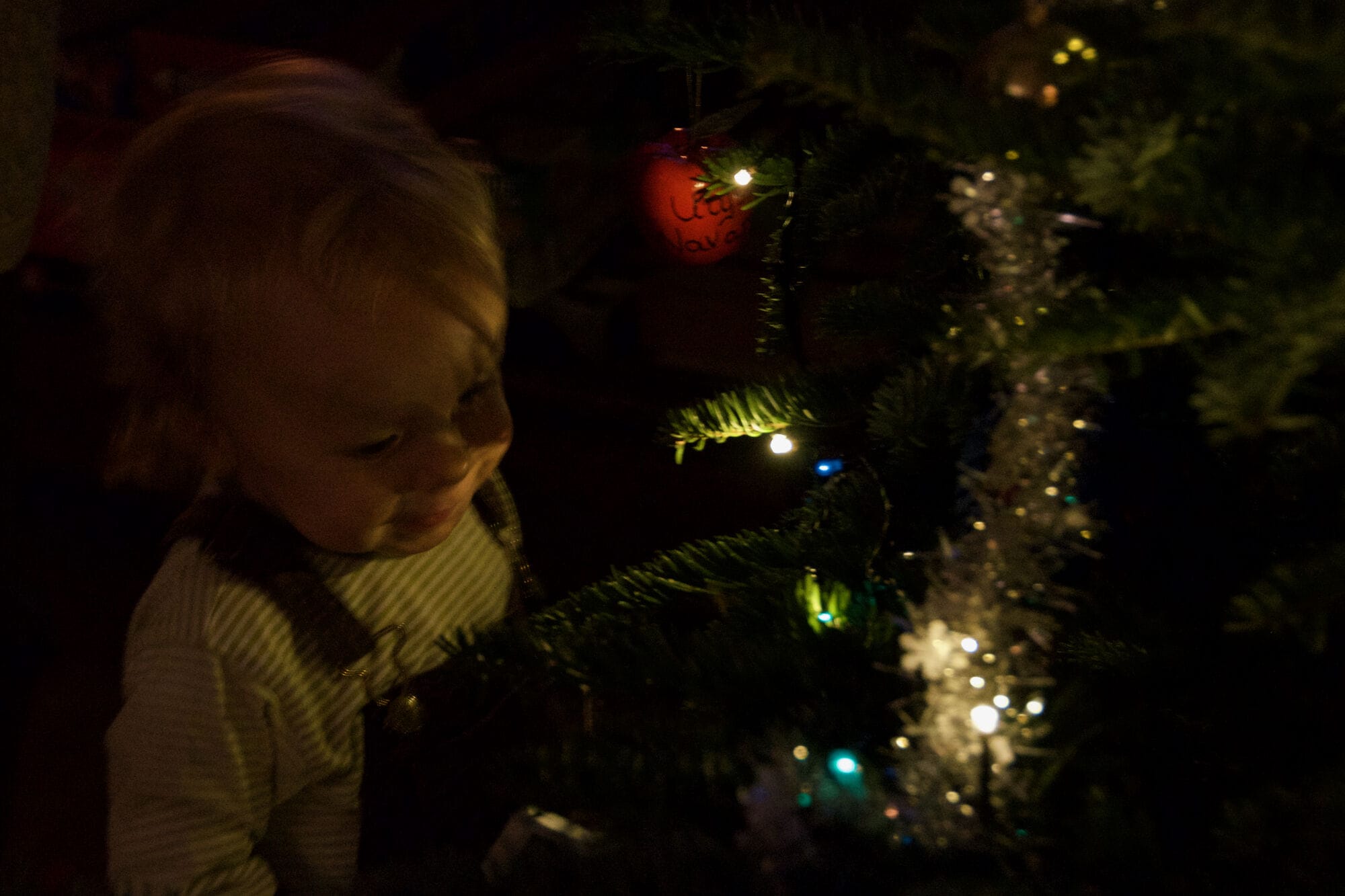 Sapin avant l'heure