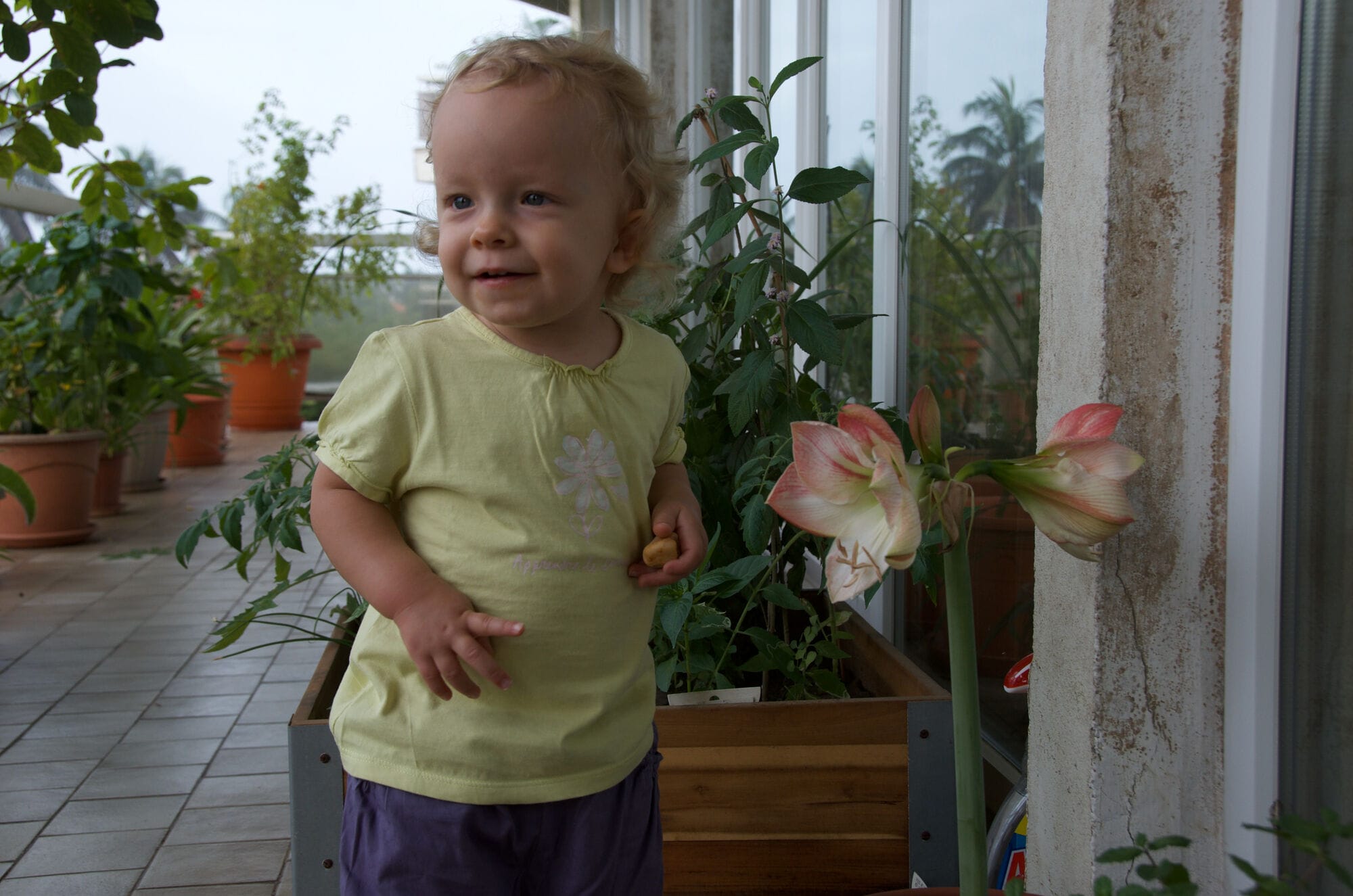 Grandes fleurs