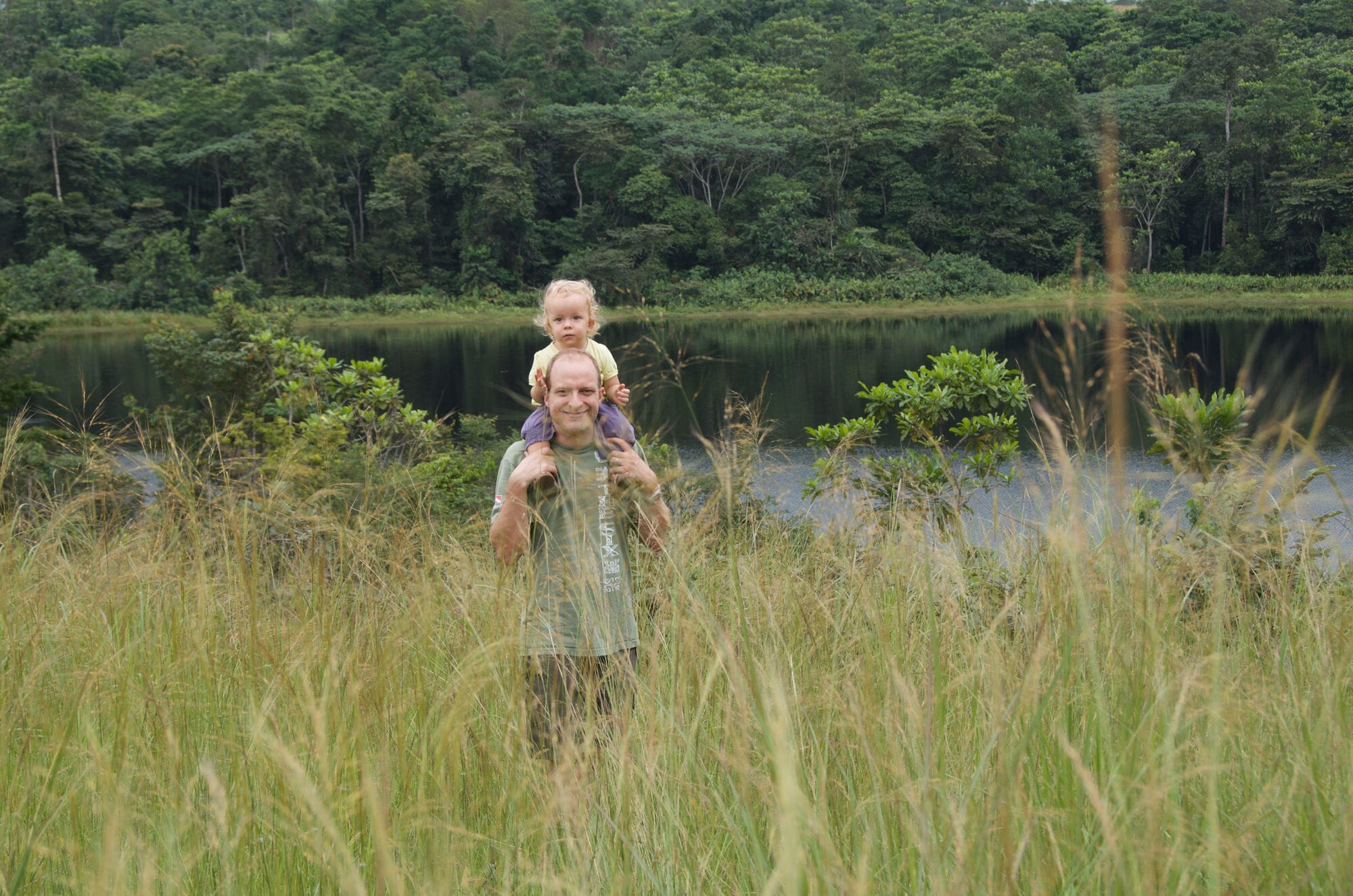 Au dessus des grandes herbes