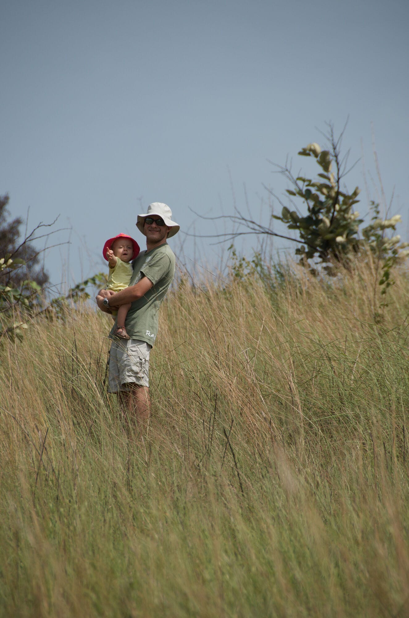 Dans les herbes