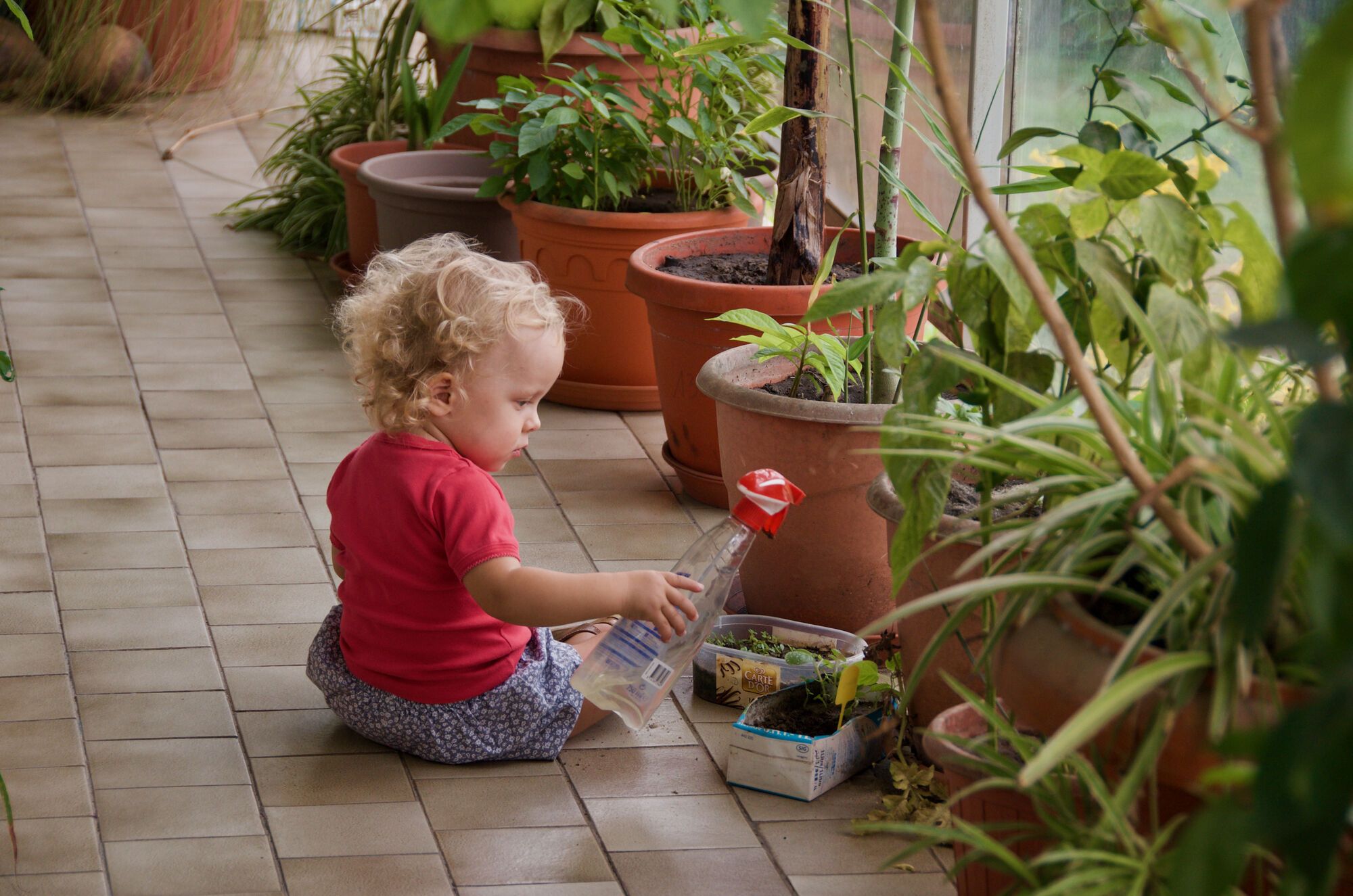 Jardinière