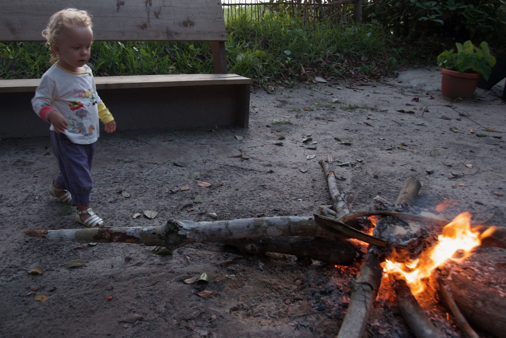 Feu de camp