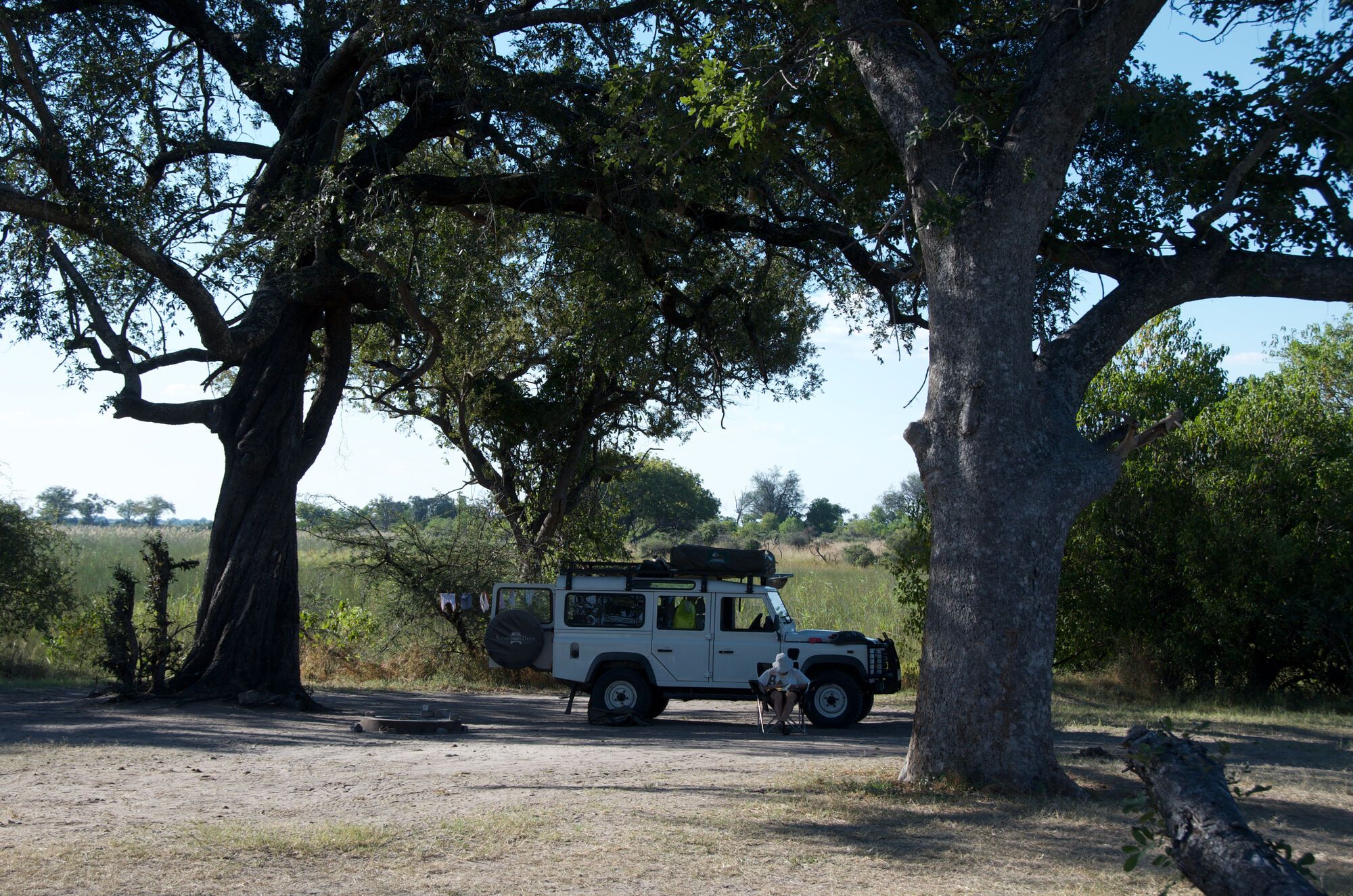 Auprès de mon arbre