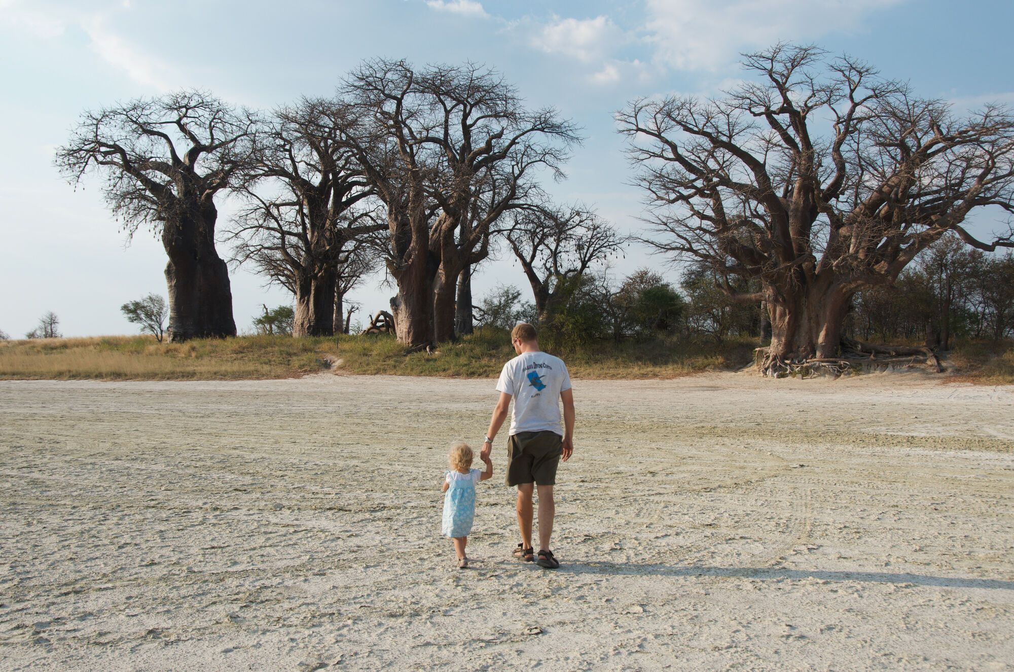 Les baobabs de Baines