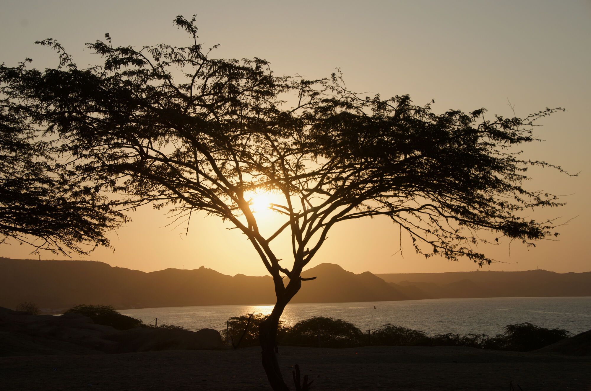 Au soleil couchant