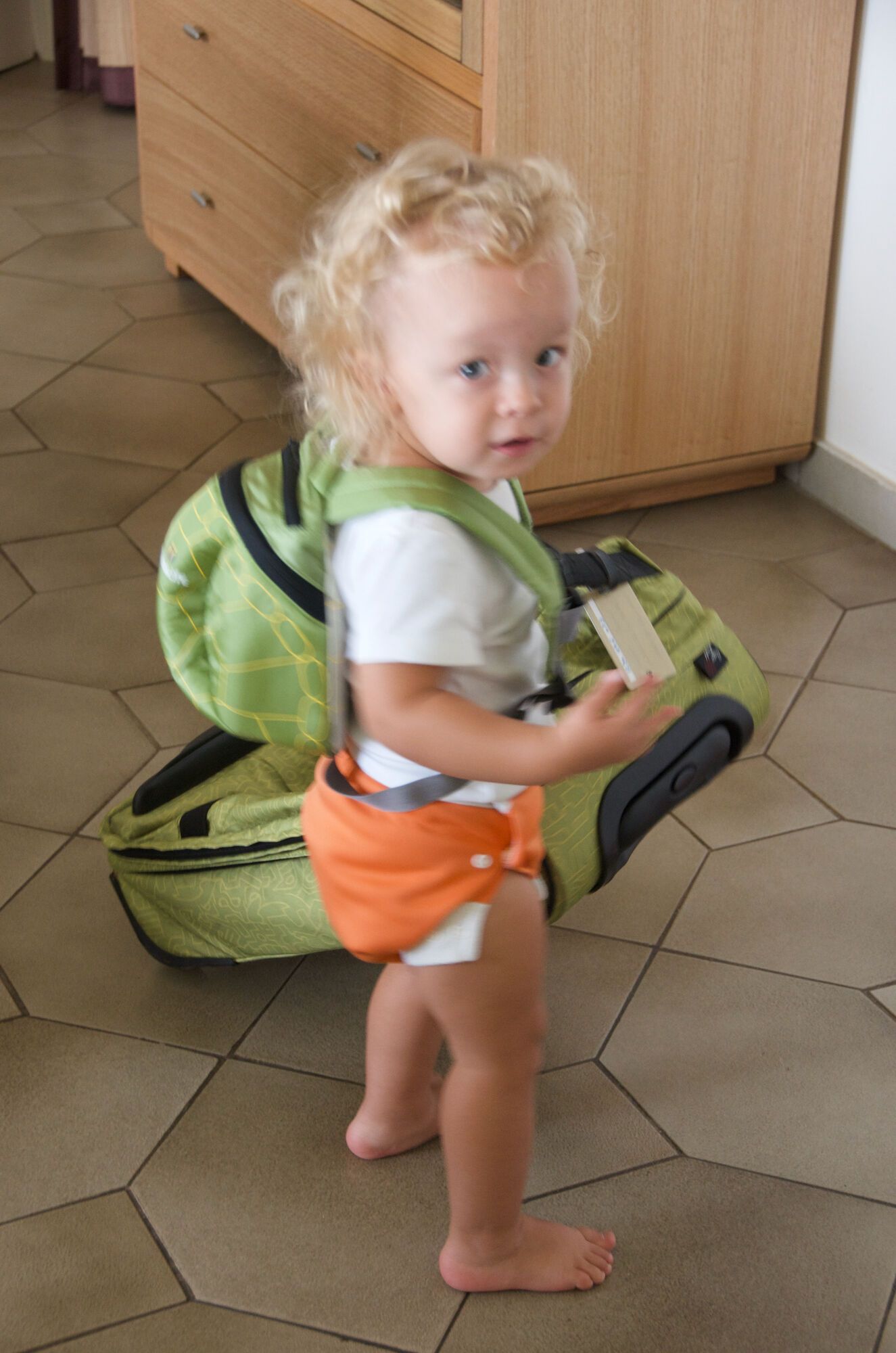 Le sac tortue