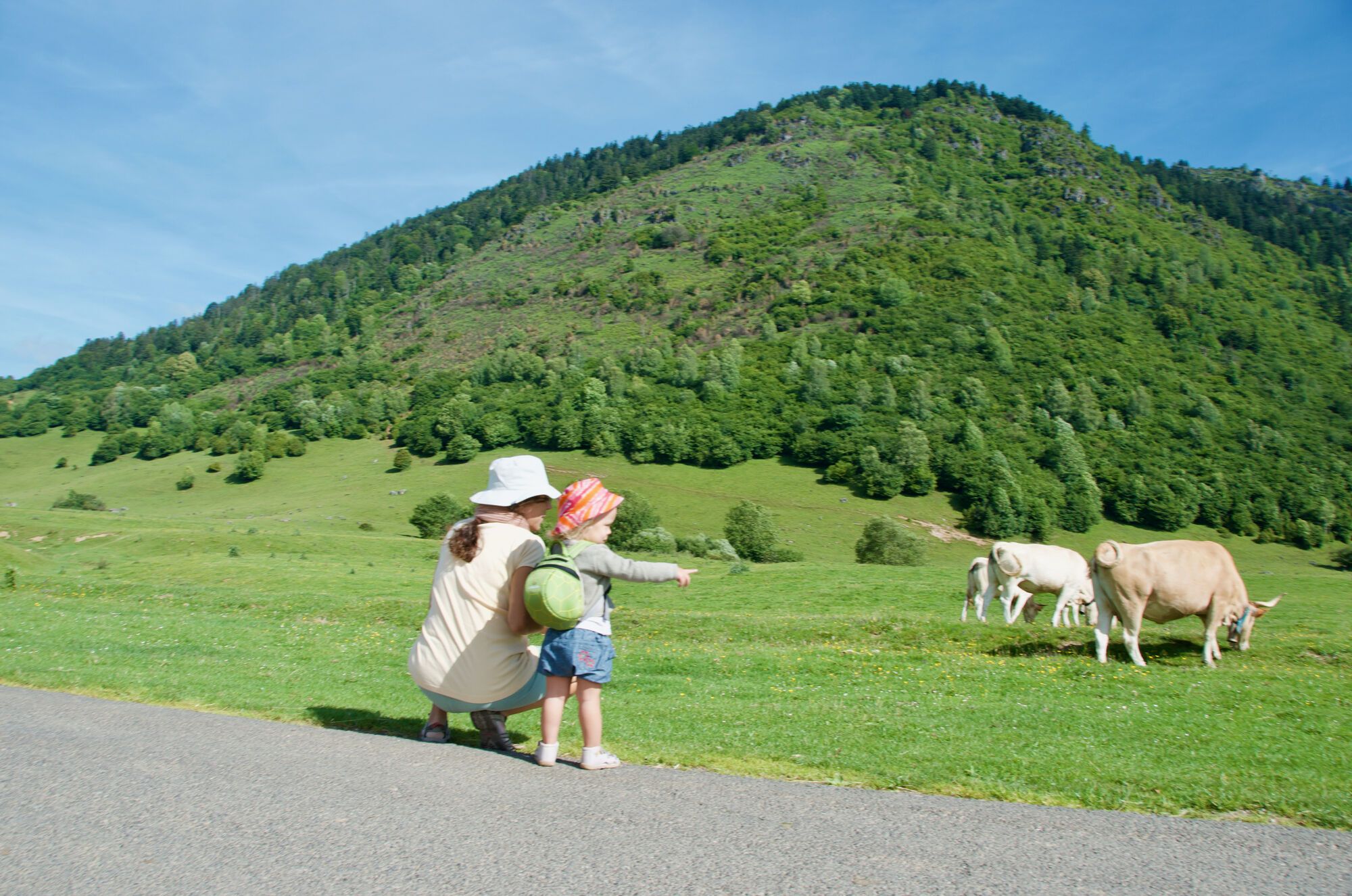 Safari pyrénéen
