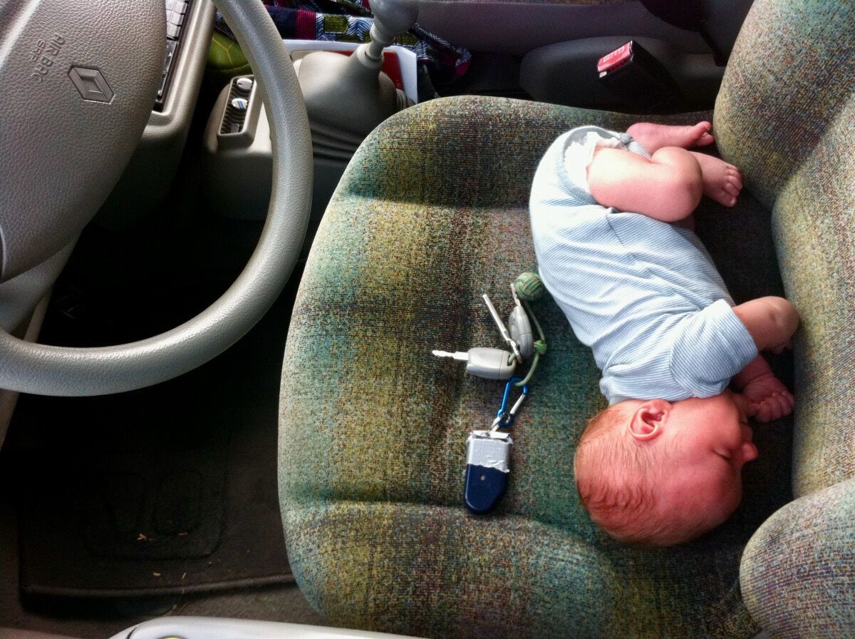 Petite crevette en twingo