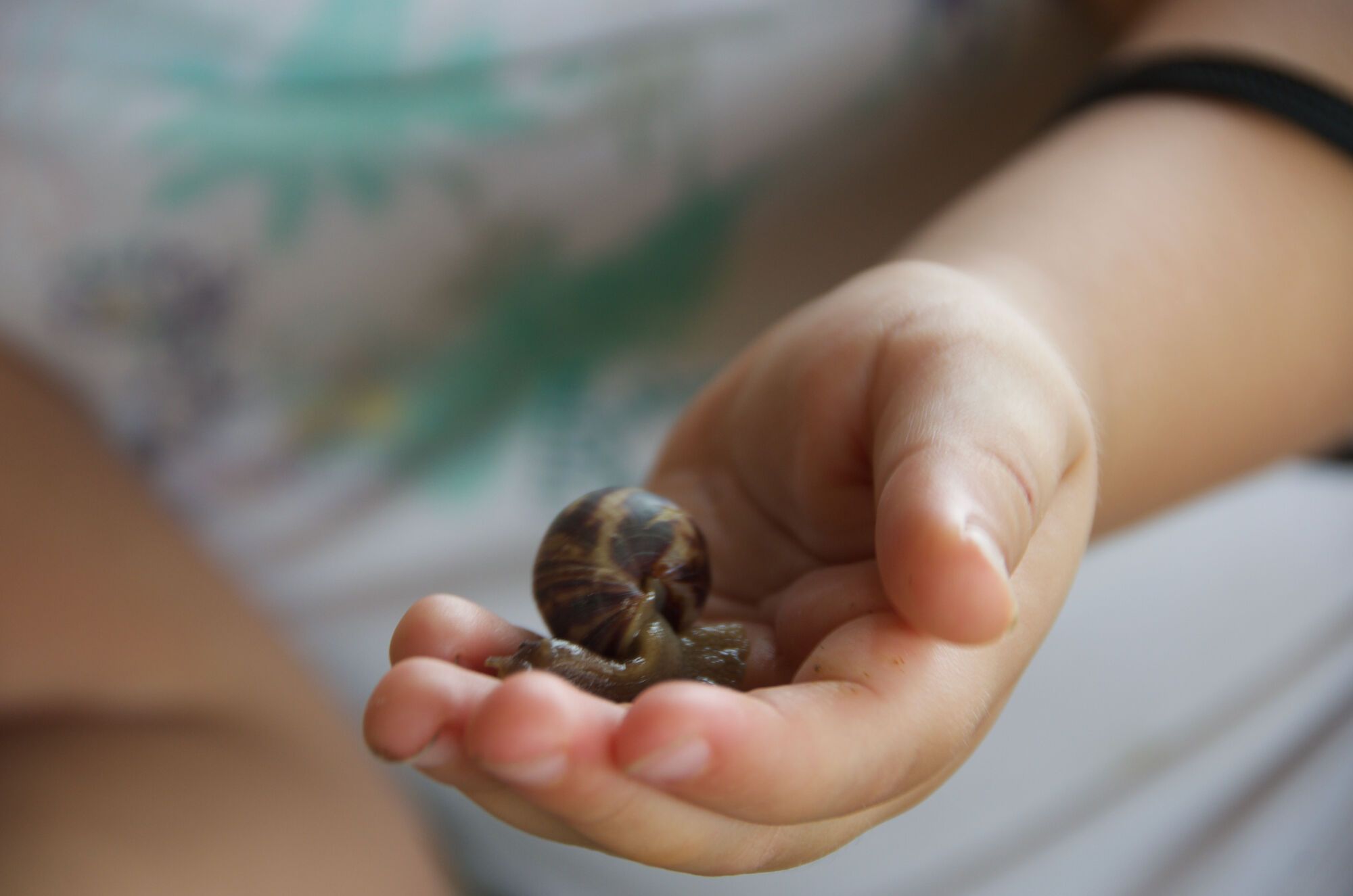 un escargot tout chaud !
