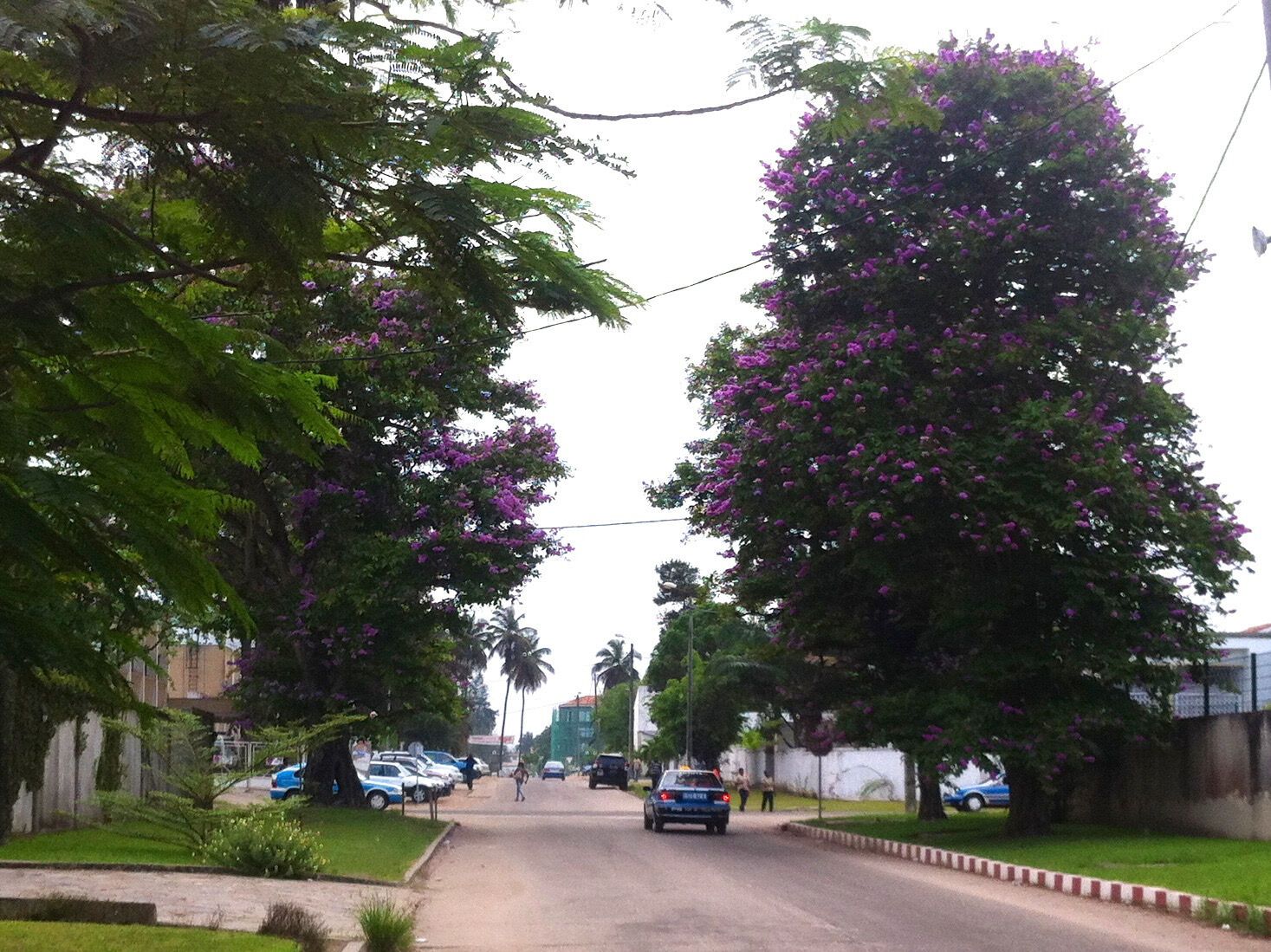 Printemps Congolais