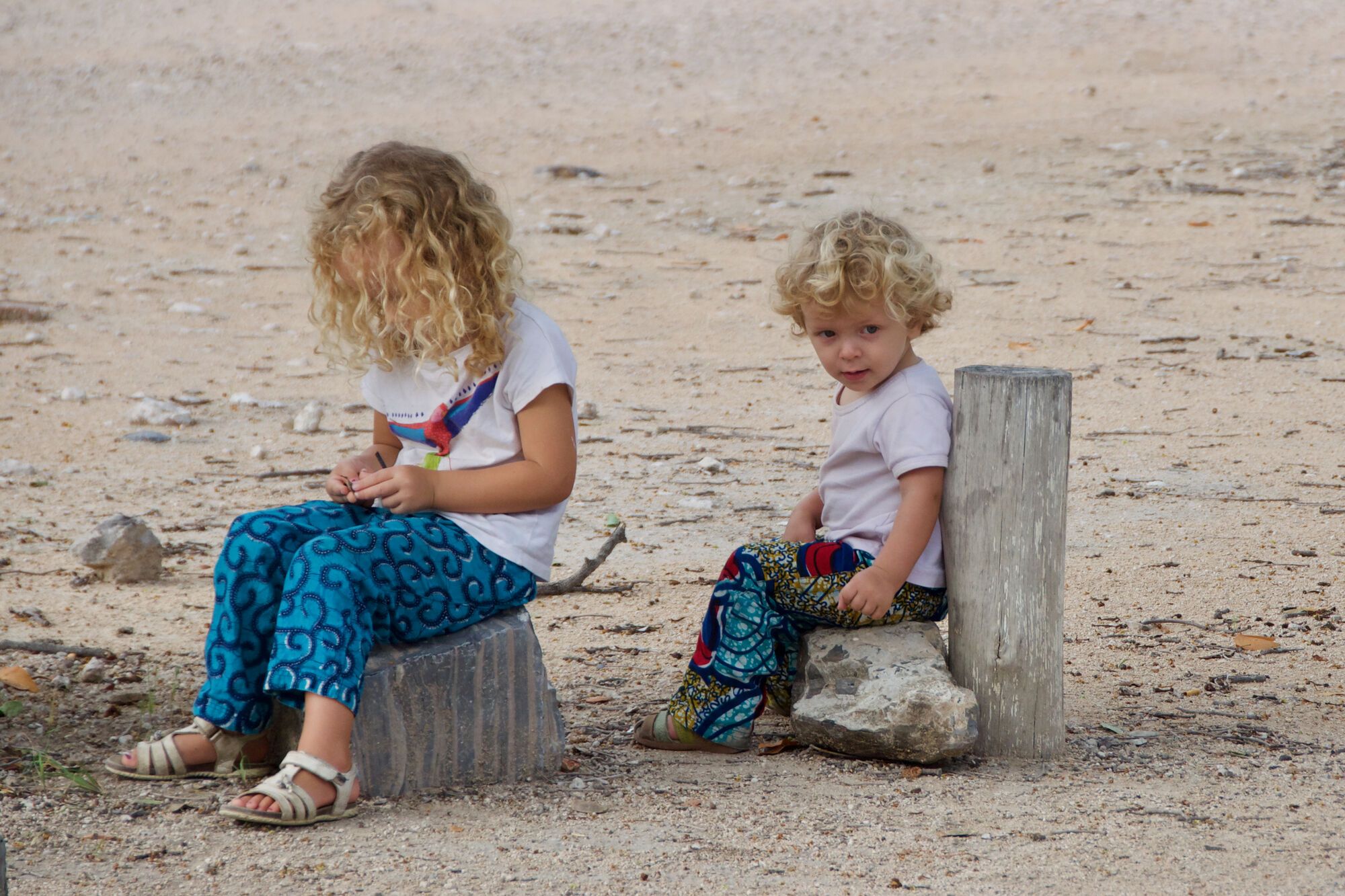 Aux camps d'Etosha