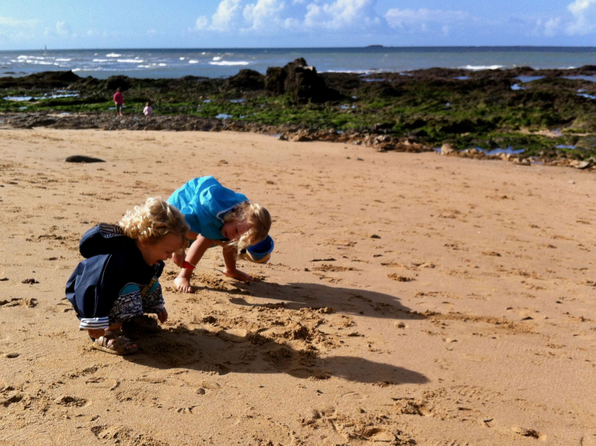 Copains des mers