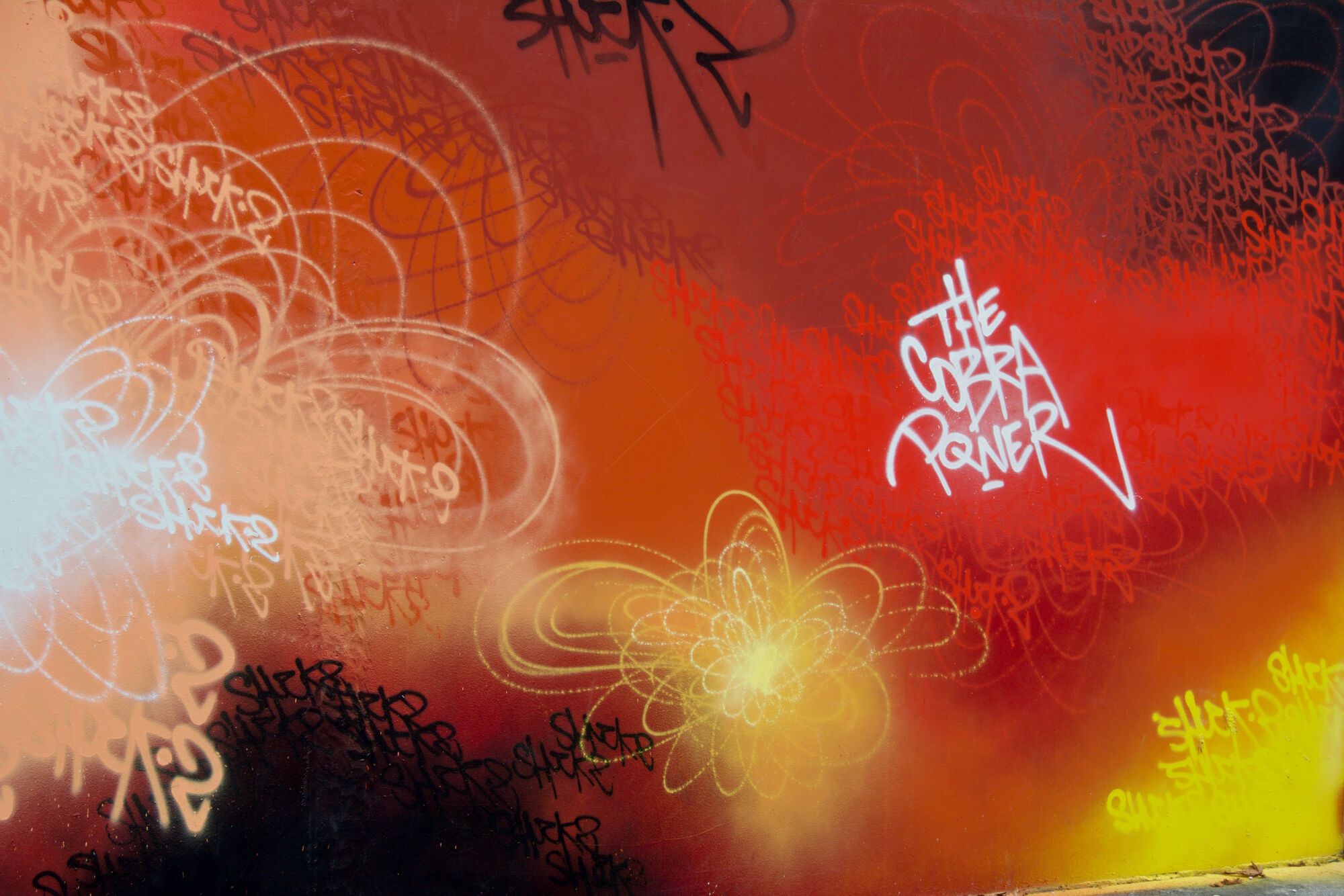 Skate parc
