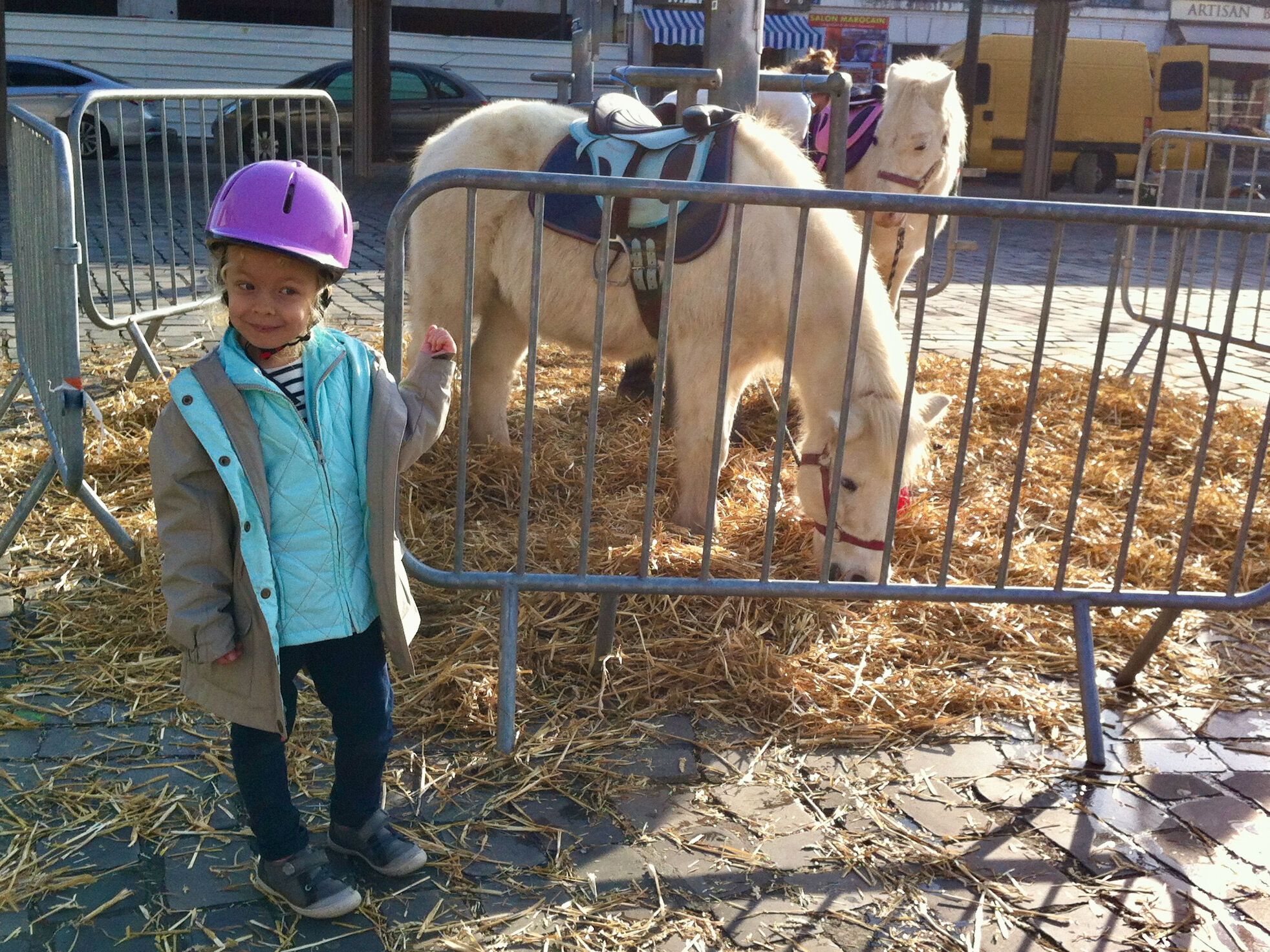 Poney