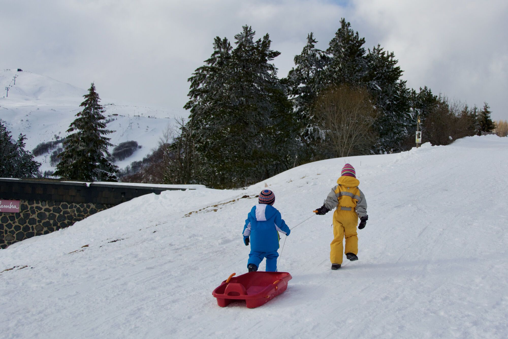 Rennes des Neiges