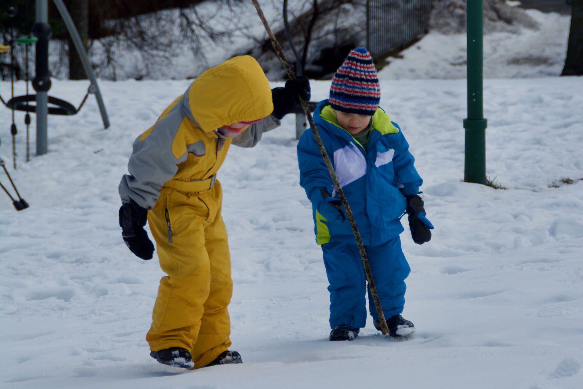 Bâtisseurs d'igloo
