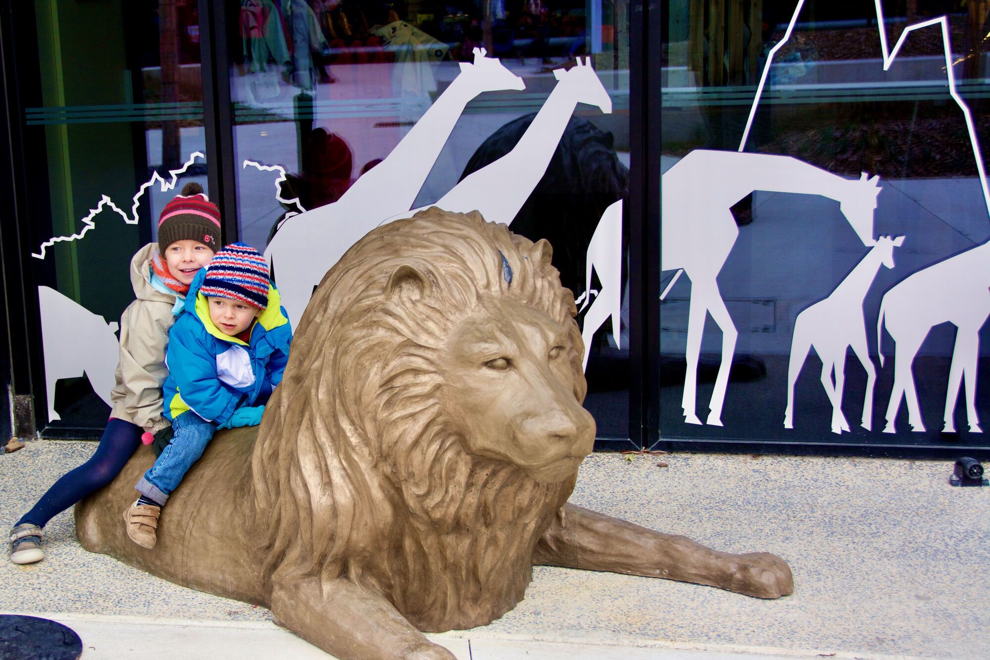 Dans le Zoo