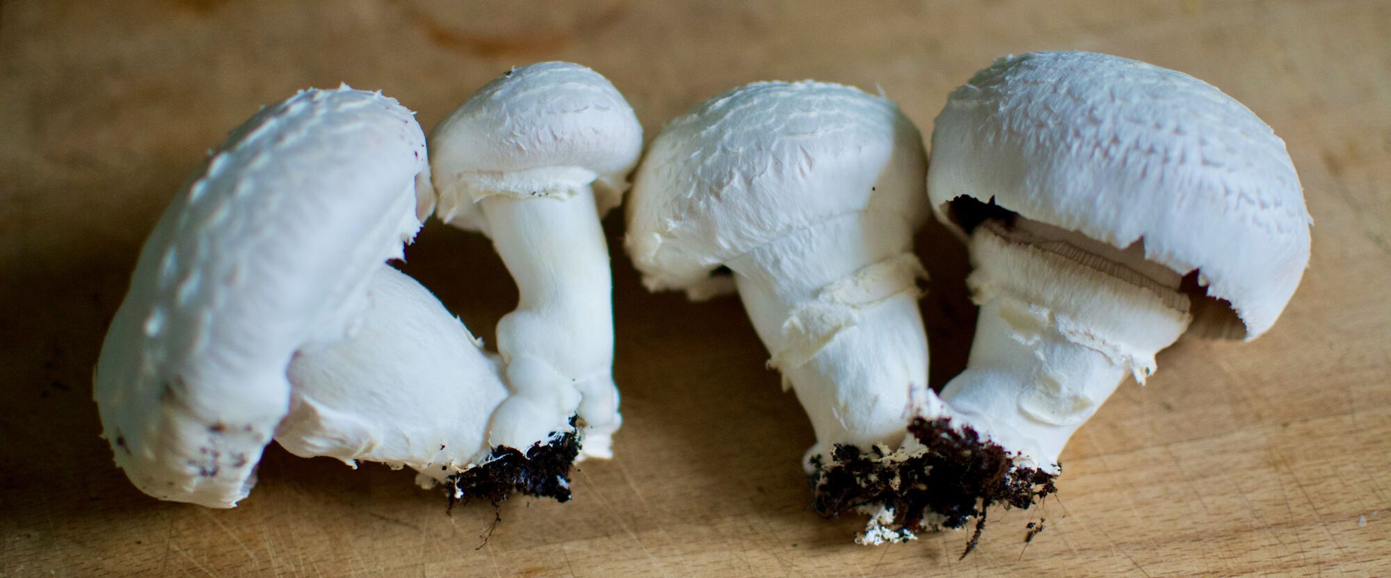 Champignons de Paris... à Paris