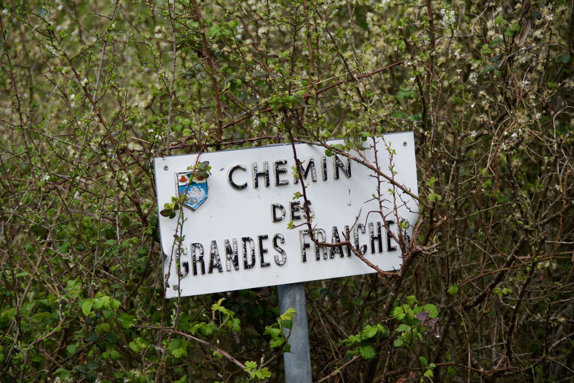 Des noés à Bonne Source