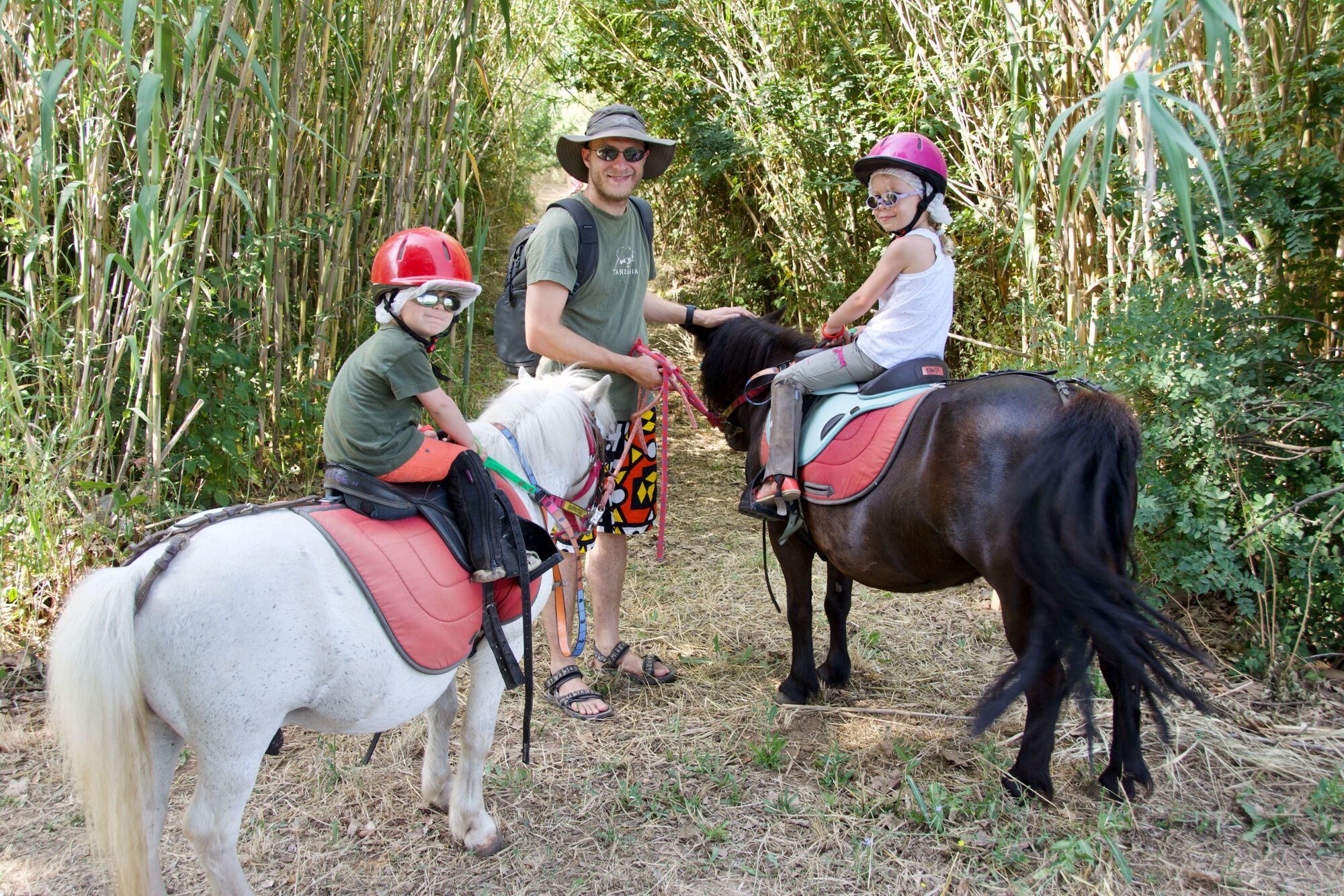 A cheval dans les vignes