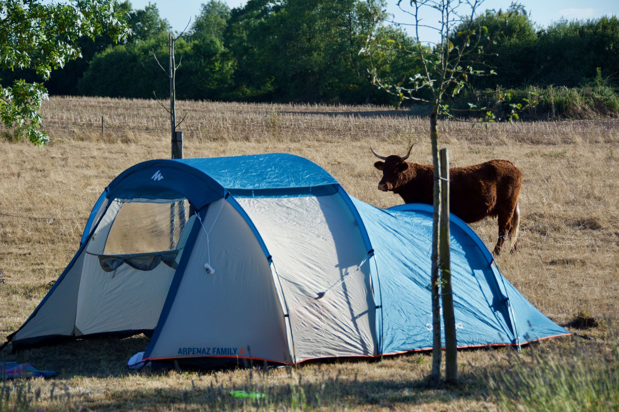 Camping au Hardais