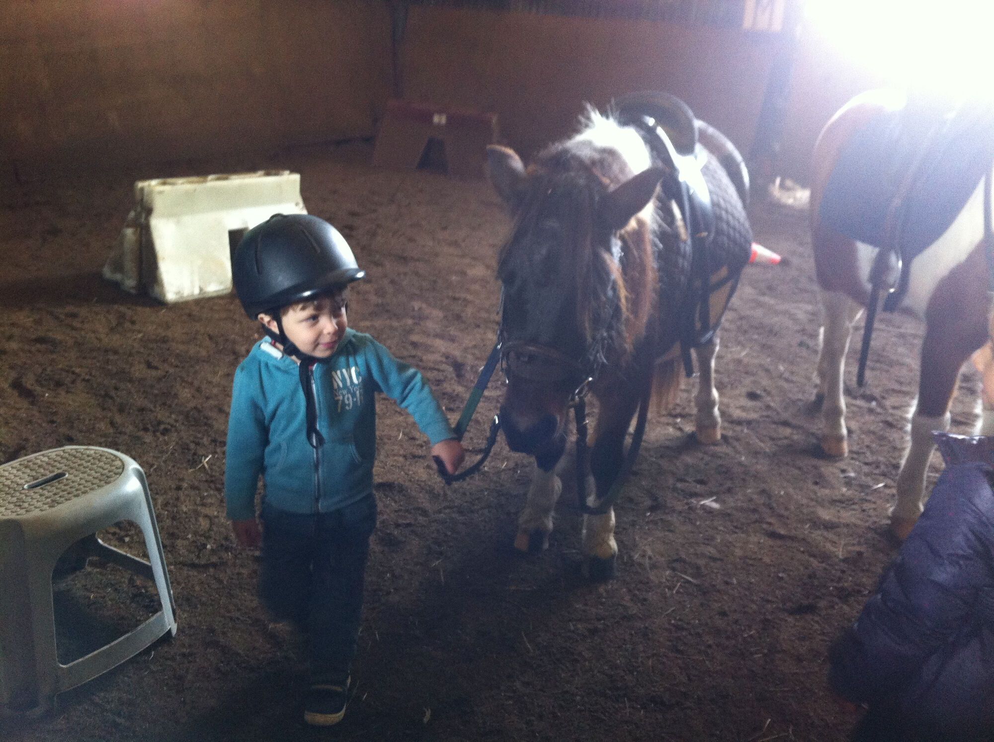 Poney en Brière