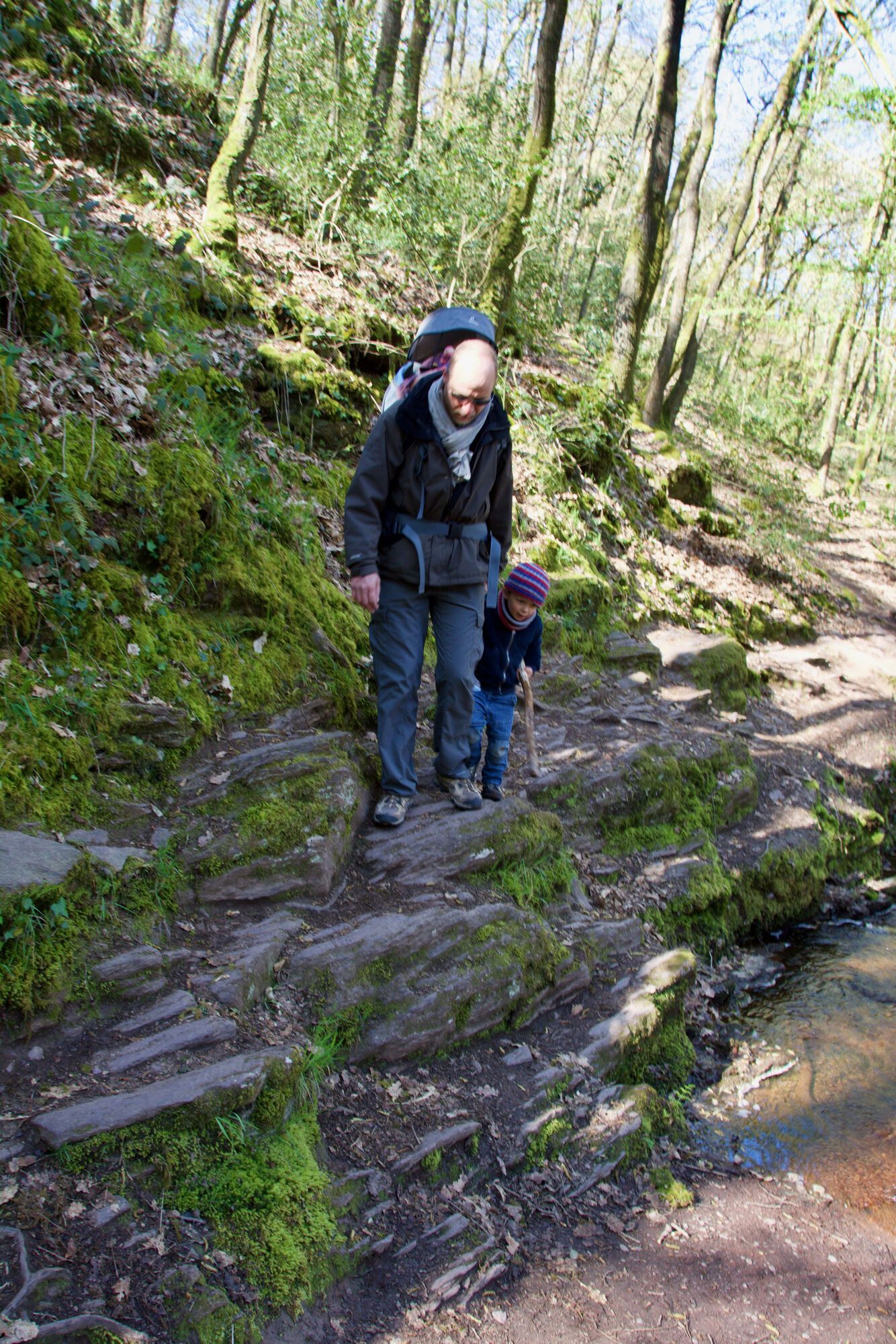 Brocéliande