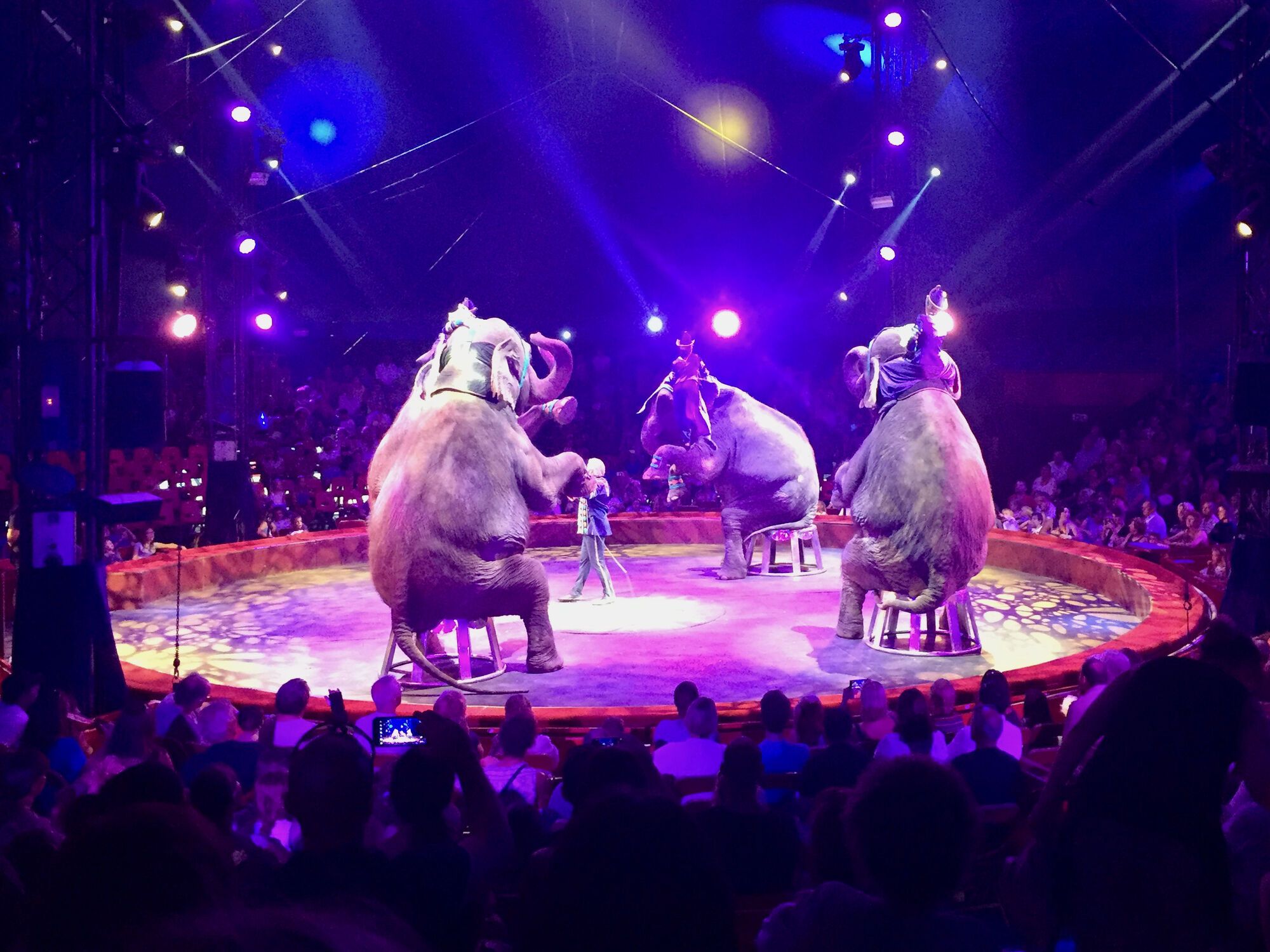 Cirque