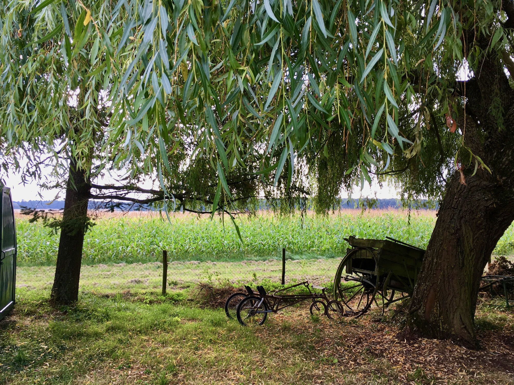 Chill out, Chilleurs aux Bois