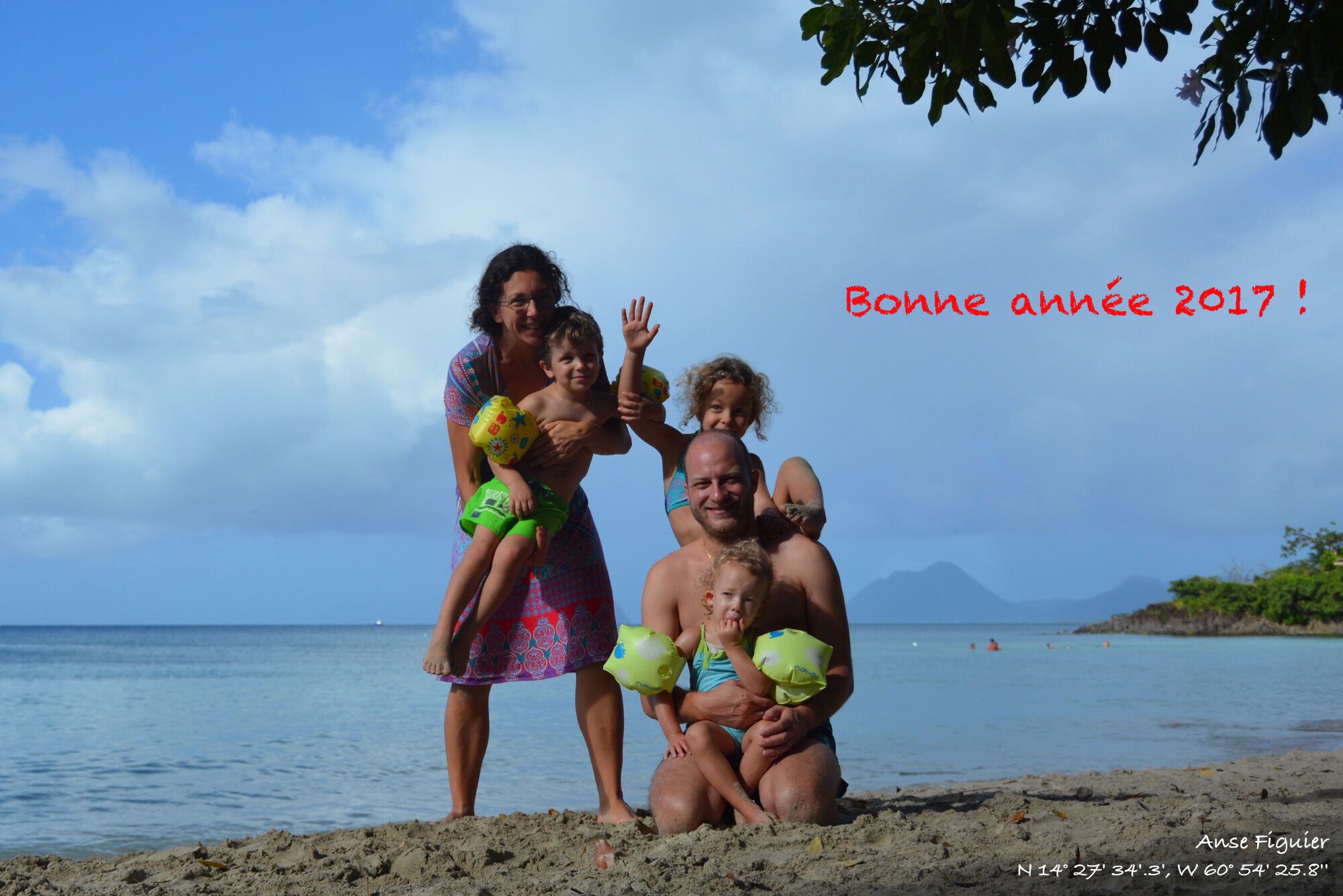 Bonne année 2017