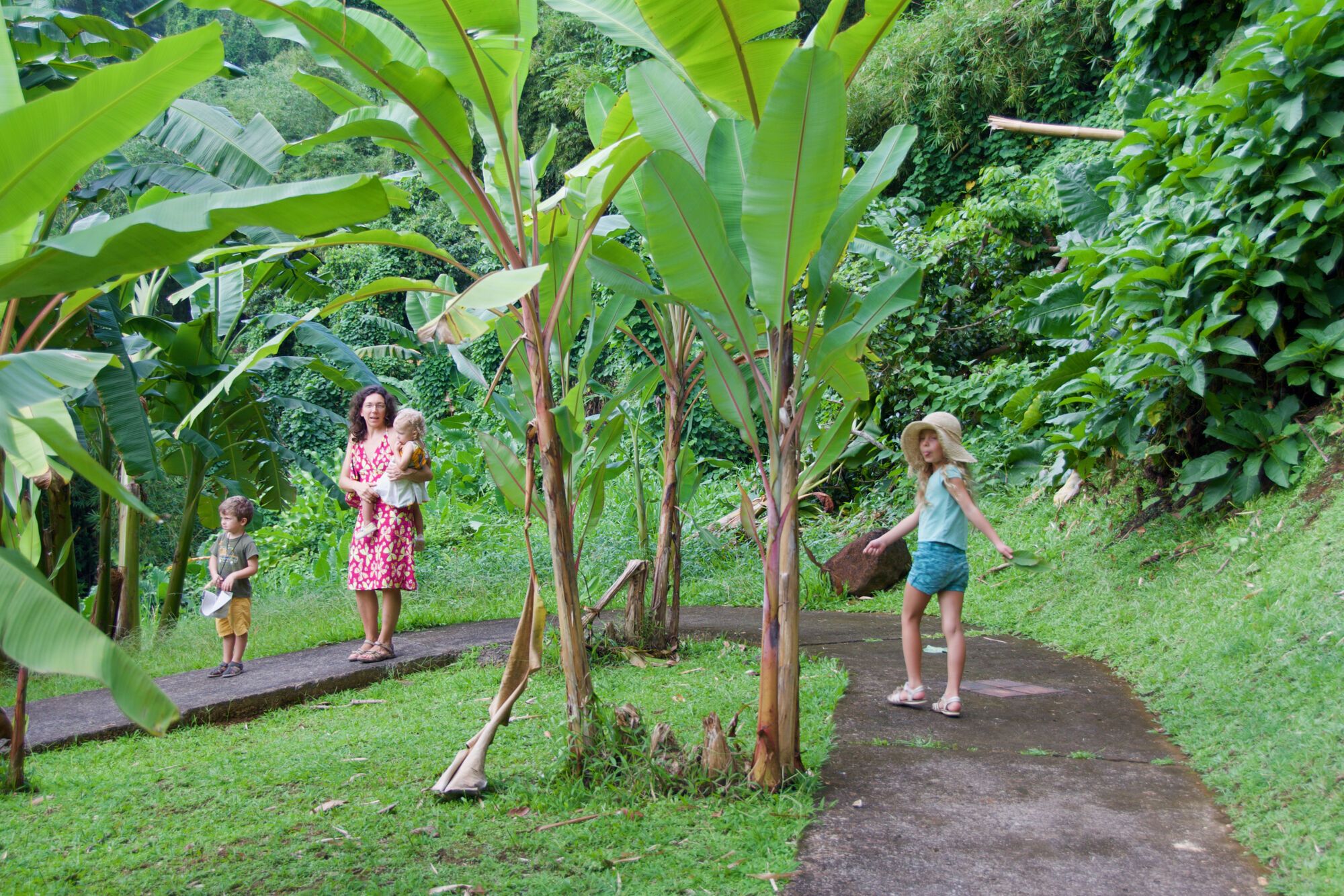 Musée de la Banane